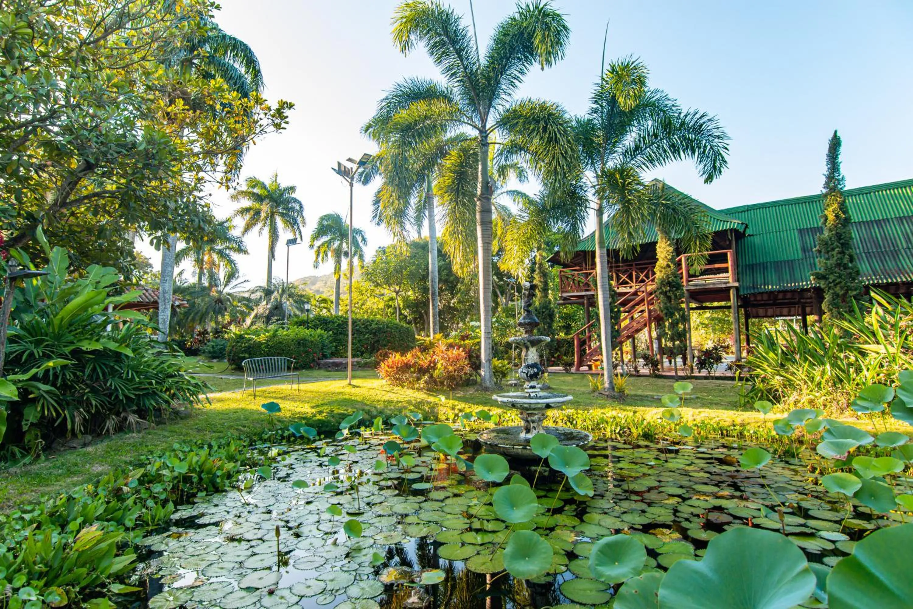 Natural landscape in Portales del Tayrona Garden Hotel