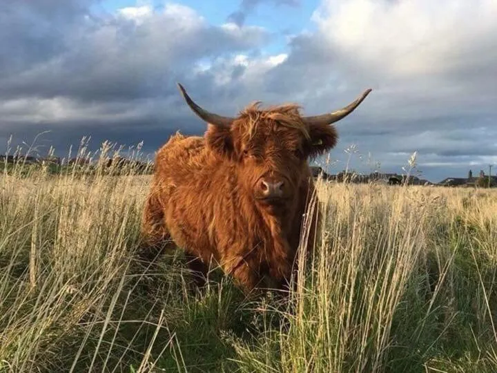 Activities in Pew with a View - Seafront Cottages