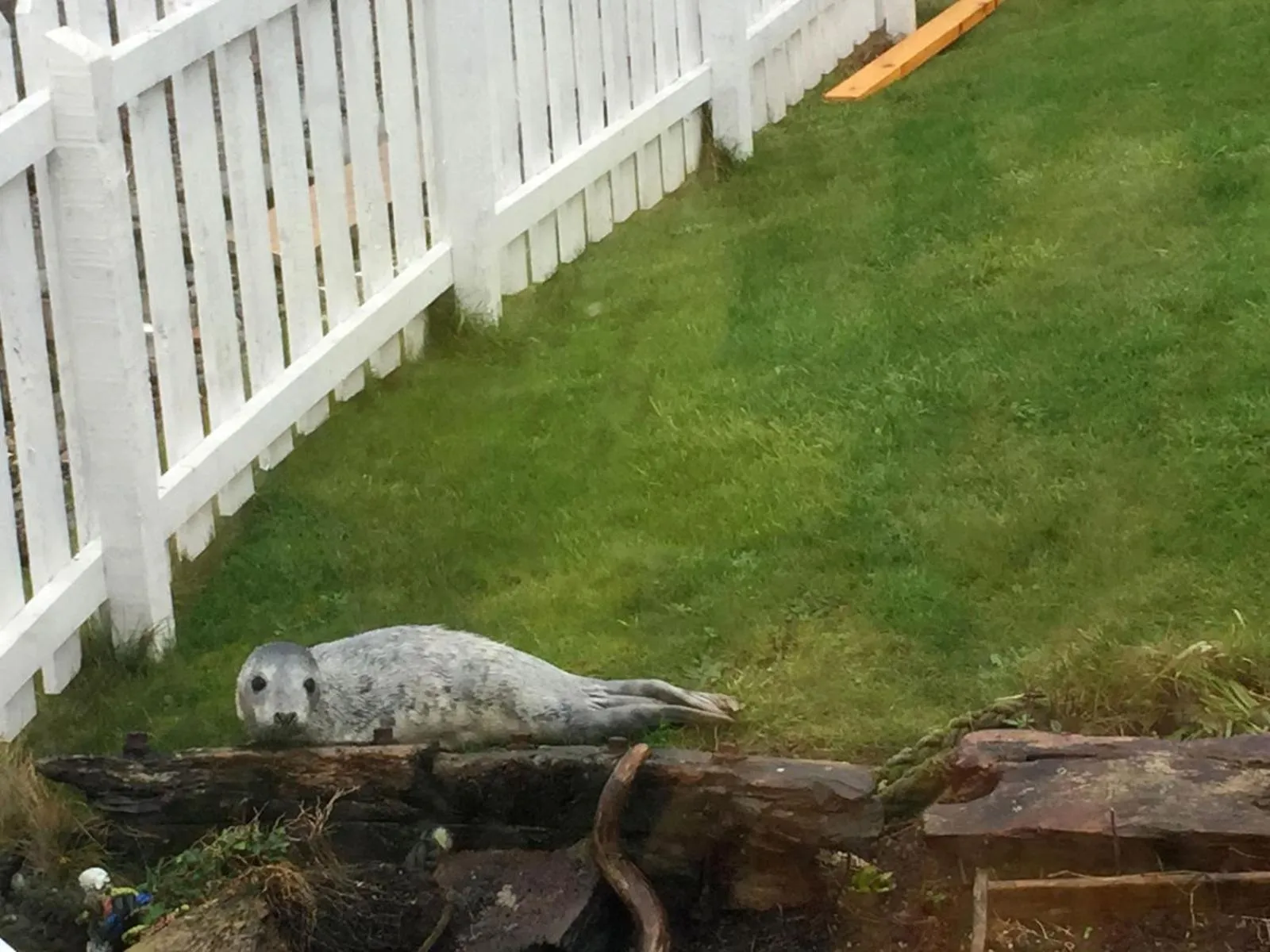 Other in Pew with a View - Seafront Cottages
