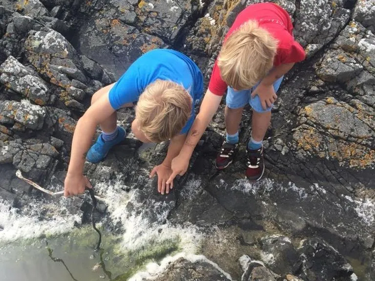 Activities in Pew with a View - Seafront Cottages