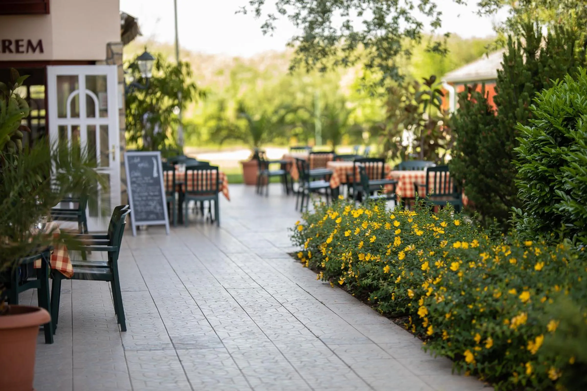 Patio in Zsanett Hotel