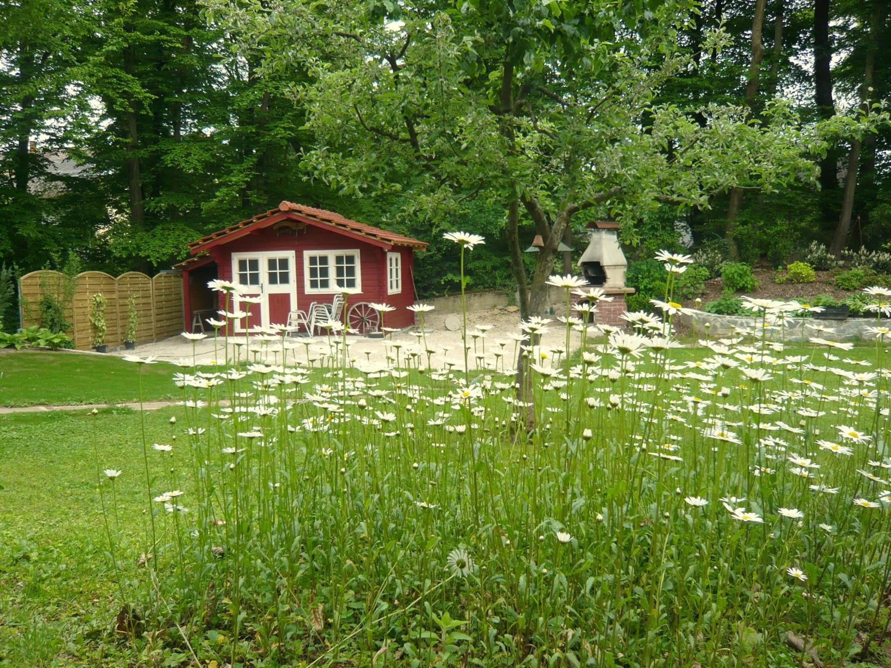 Garden in Haus Elisabeth, Appartements