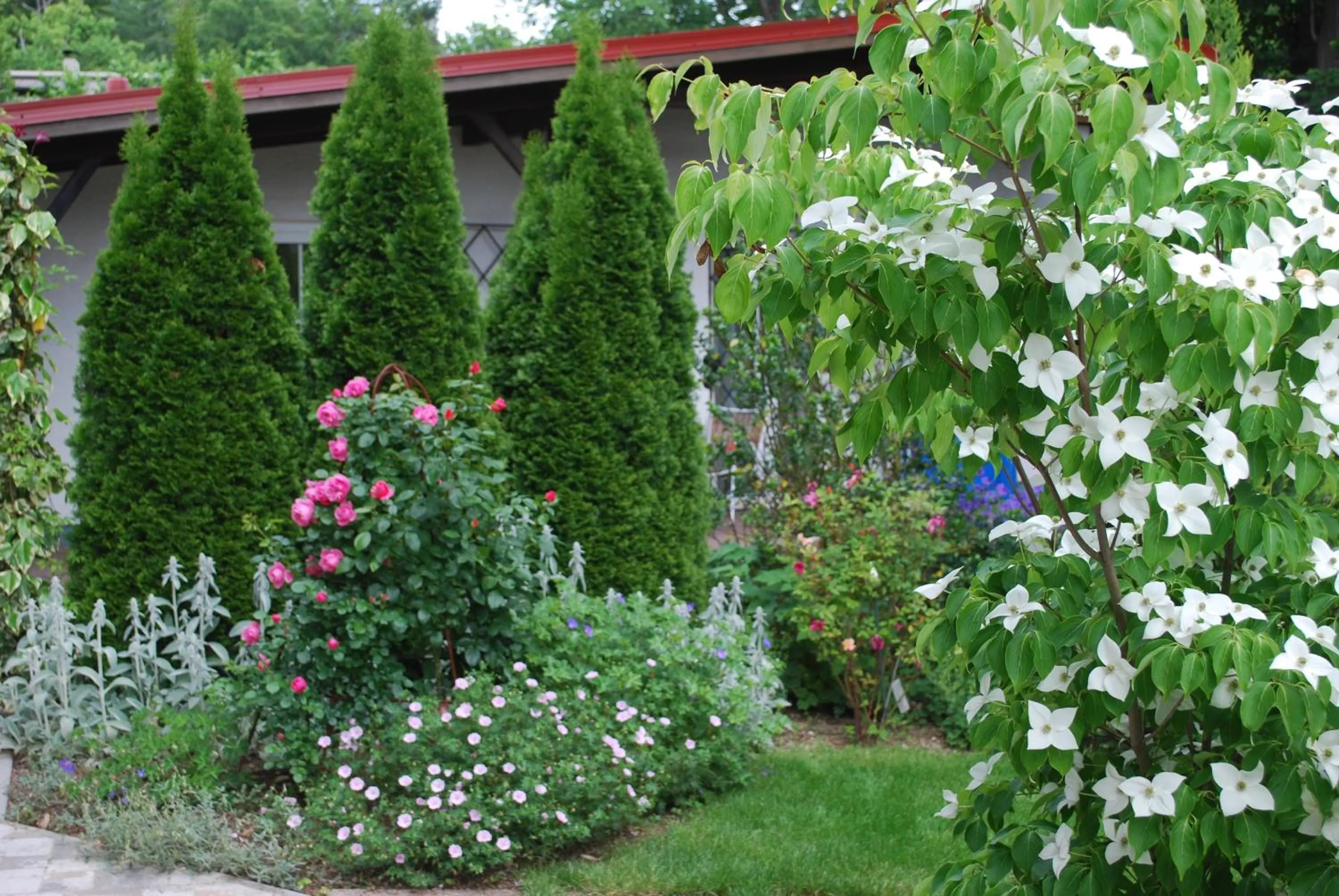 Garden in Haus Elisabeth, Appartements