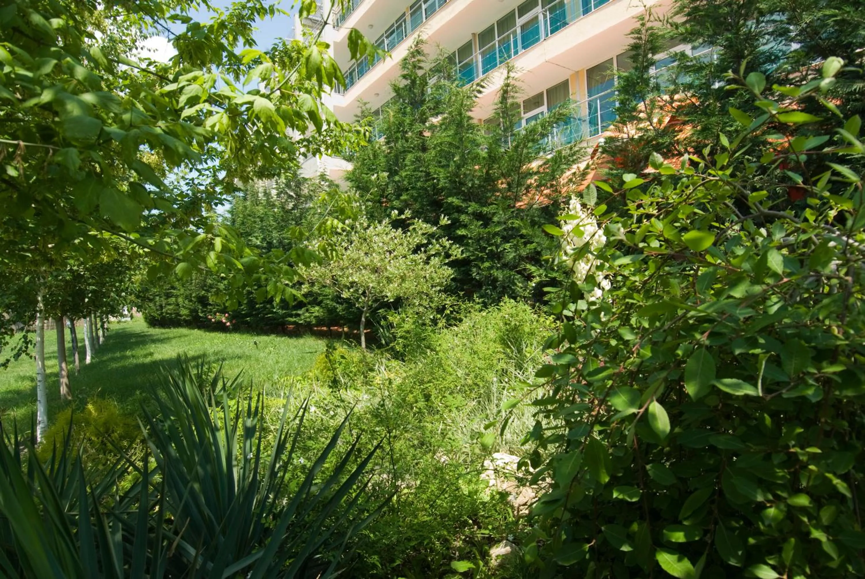 Garden in Ivana Palace Hotel - Free Parking