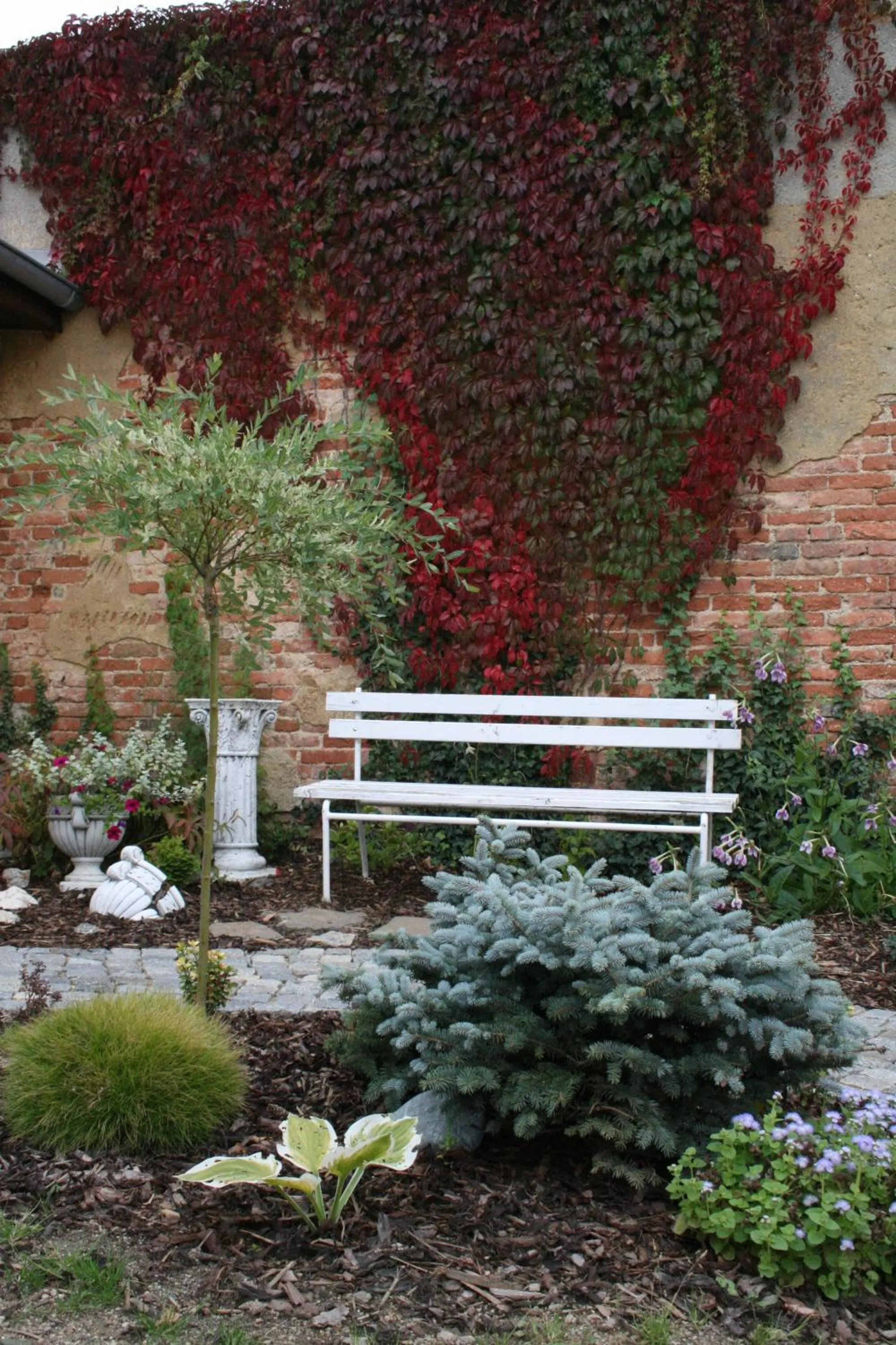 Garden in Hotel Na Vodách