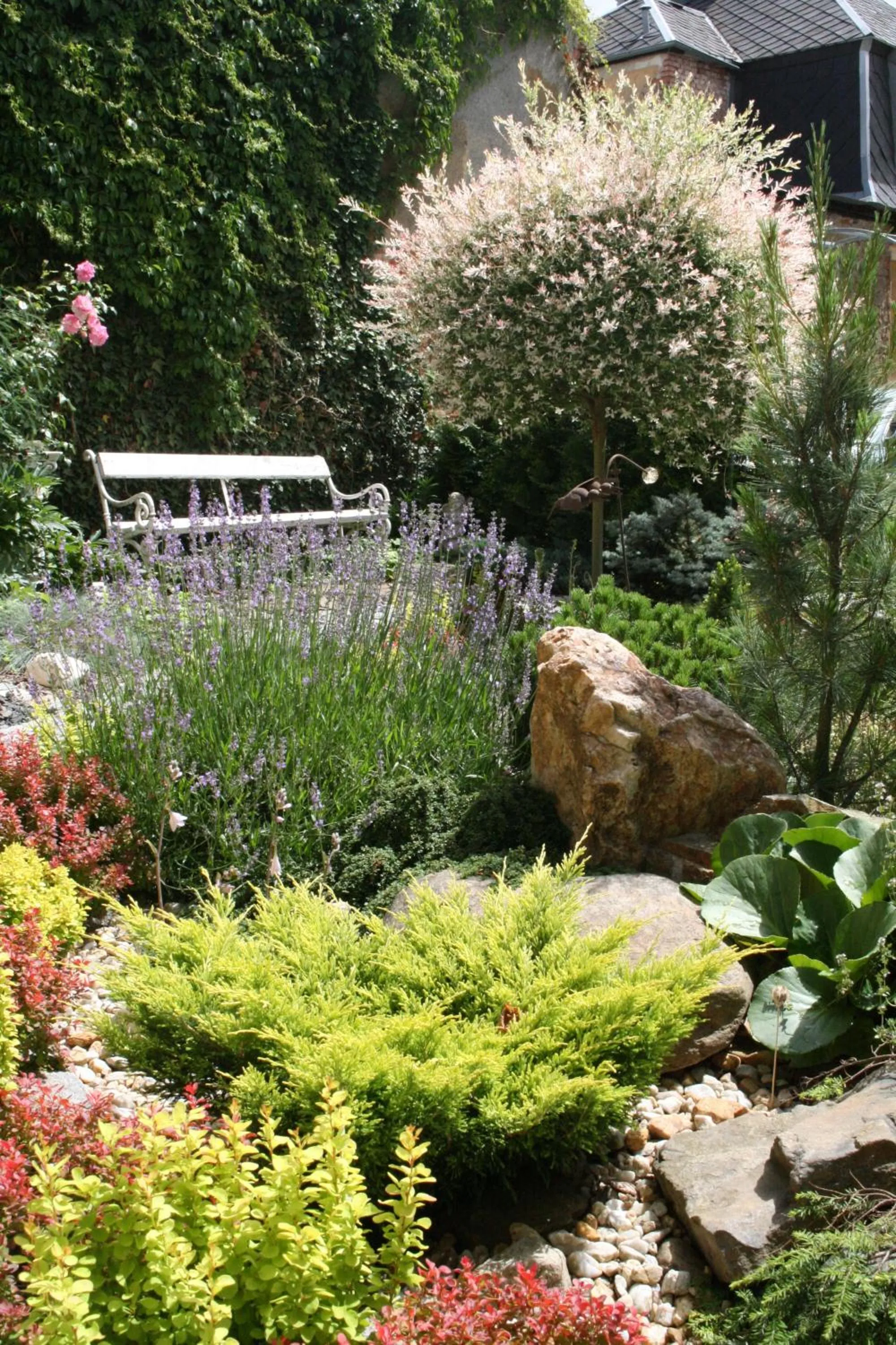 Garden in Hotel Na Vodách