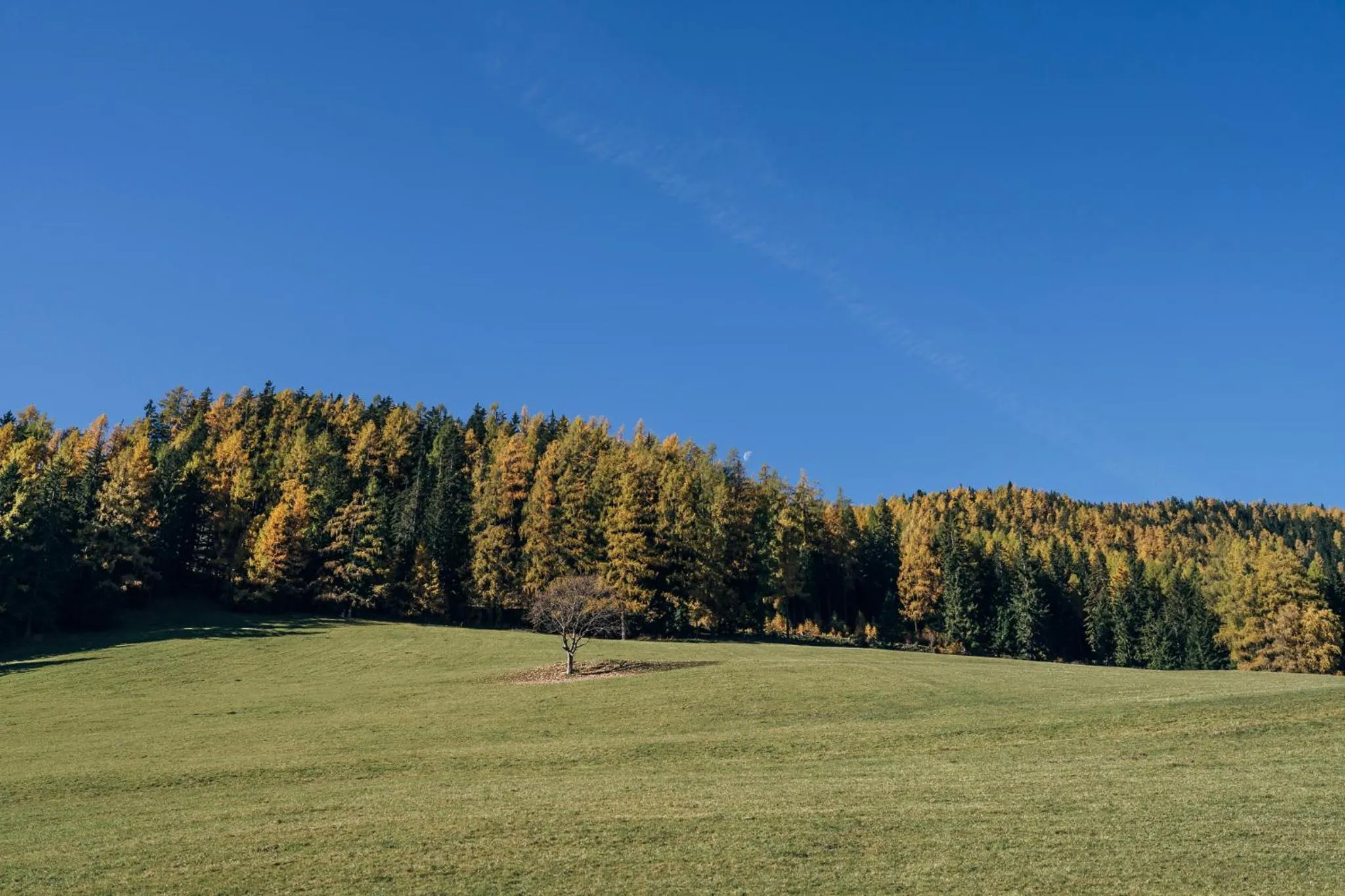 Natural landscape in Slow Travel Resort Kirchleitn - OBERKIRCHLEITN