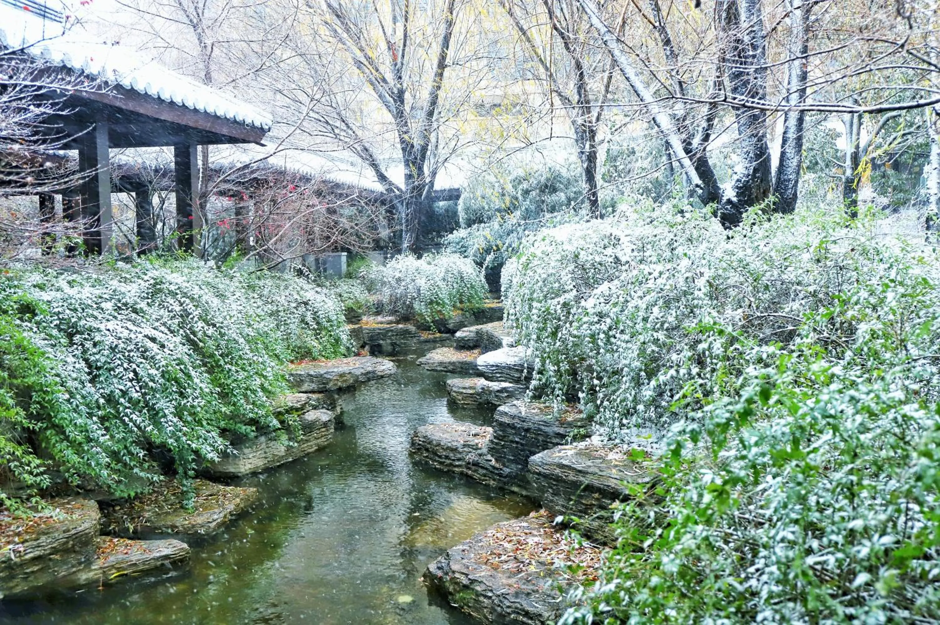 Winter in Nanjing Riverside Hote