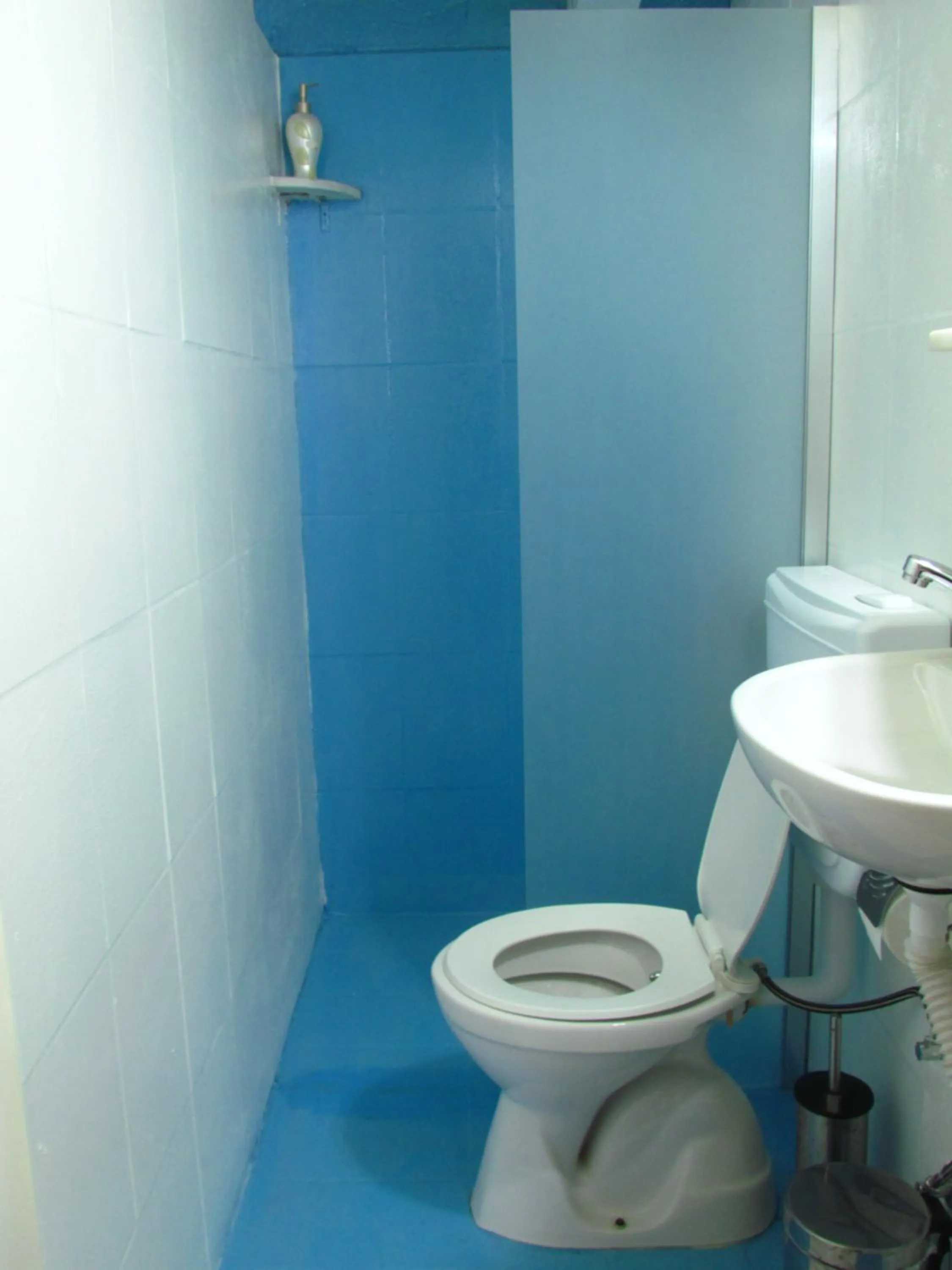 Day in Amazon Antique