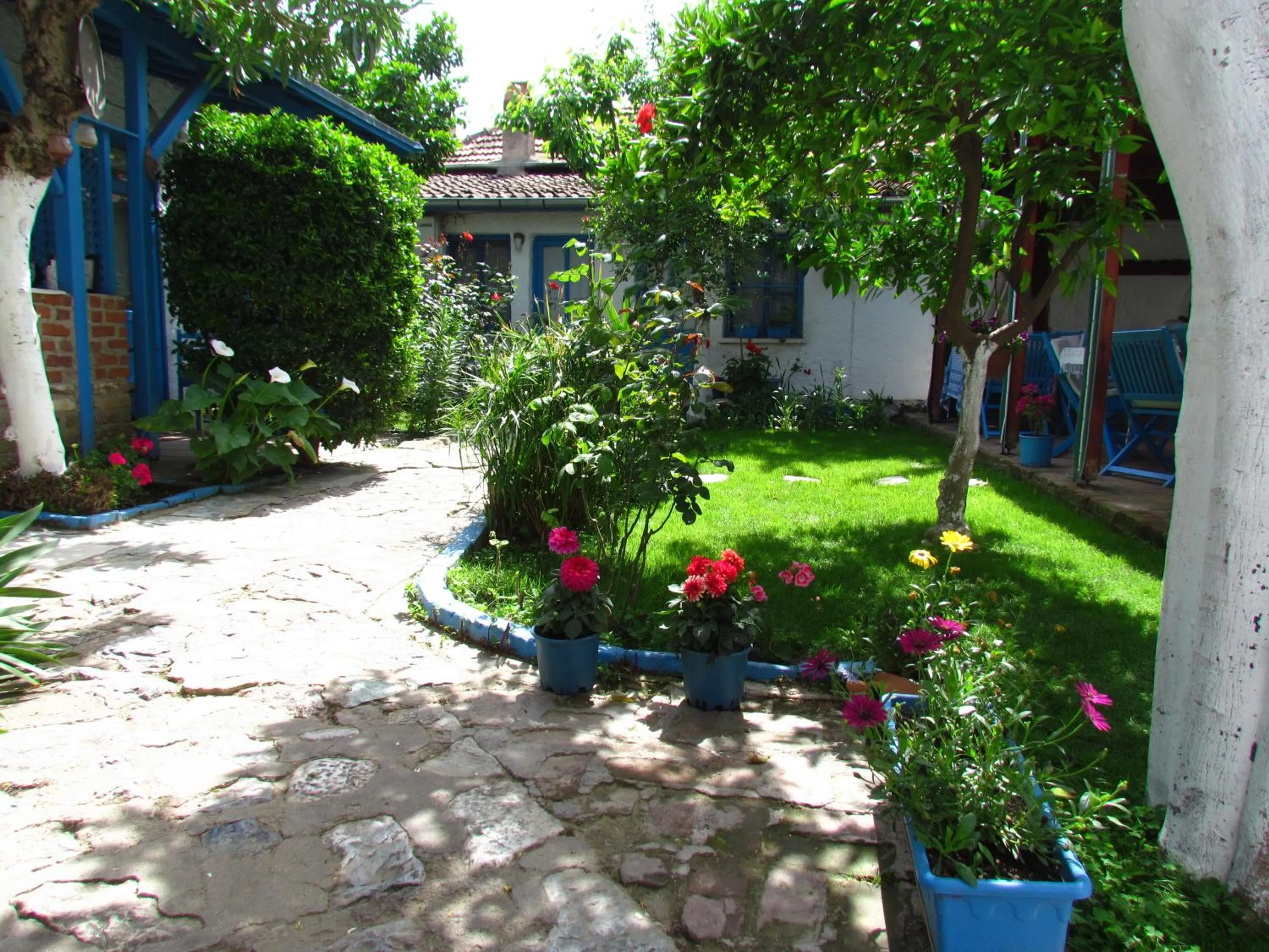 Property building in Amazon Antique