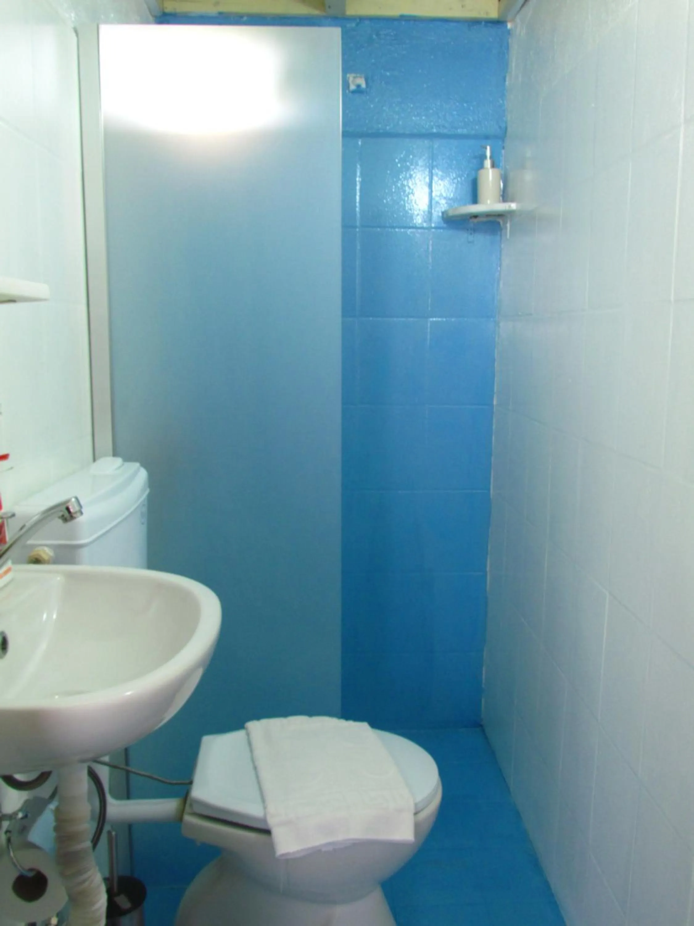 Bathroom in Amazon Antique