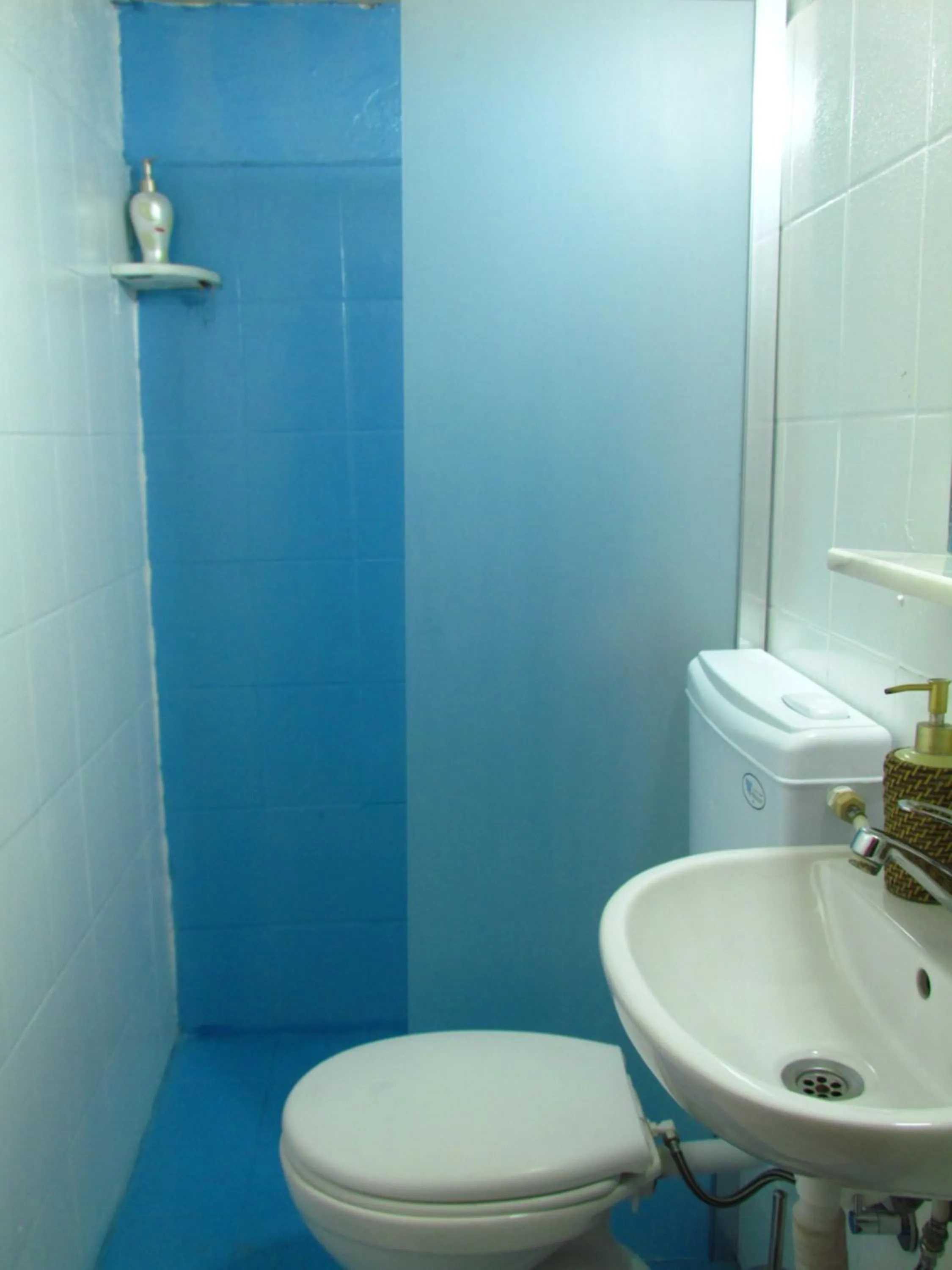 Day in Amazon Antique