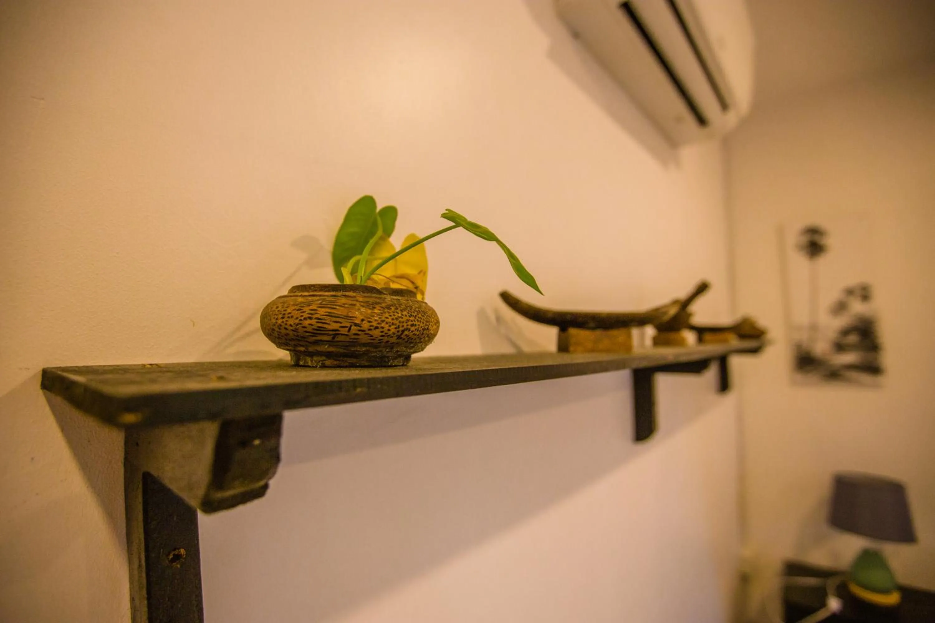 Other in Moloppor Villa