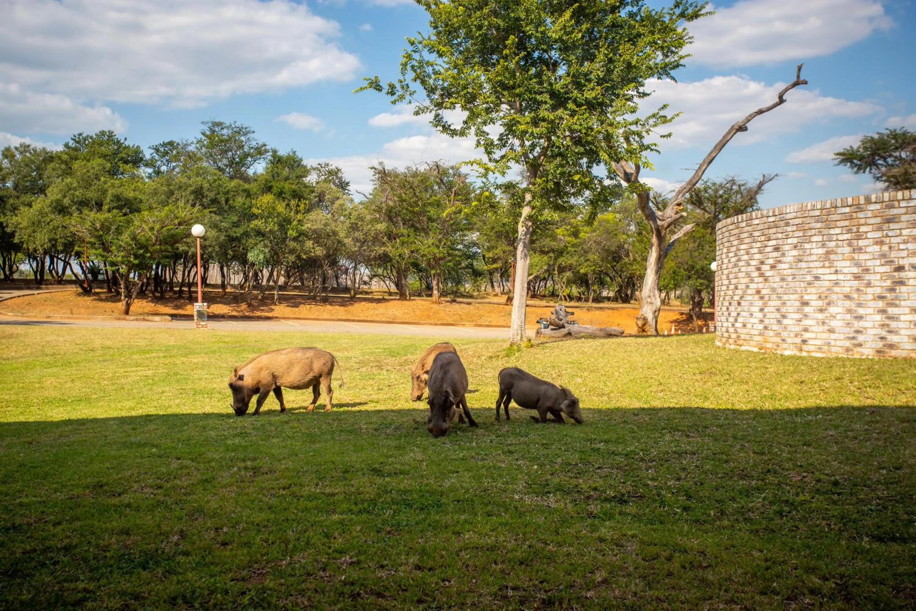 Animals in 26° South Bush Boho Hotel