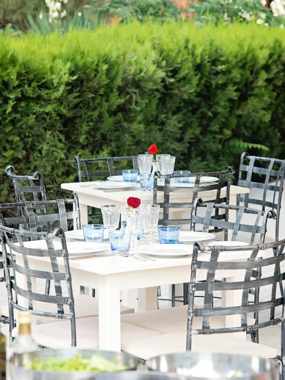 Restaurant/places to eat in Hotel Alba - All inclusive