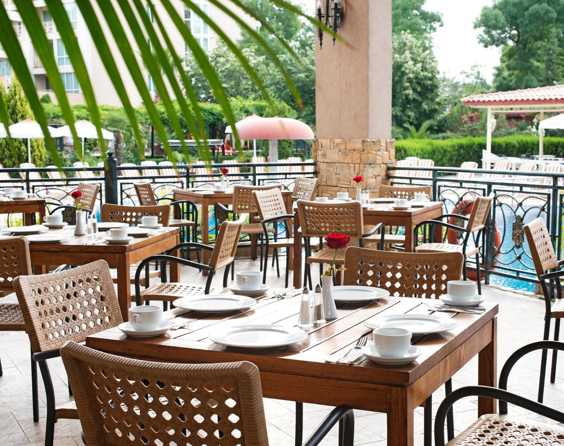 Restaurant/places to eat in Hotel Alba - All inclusive