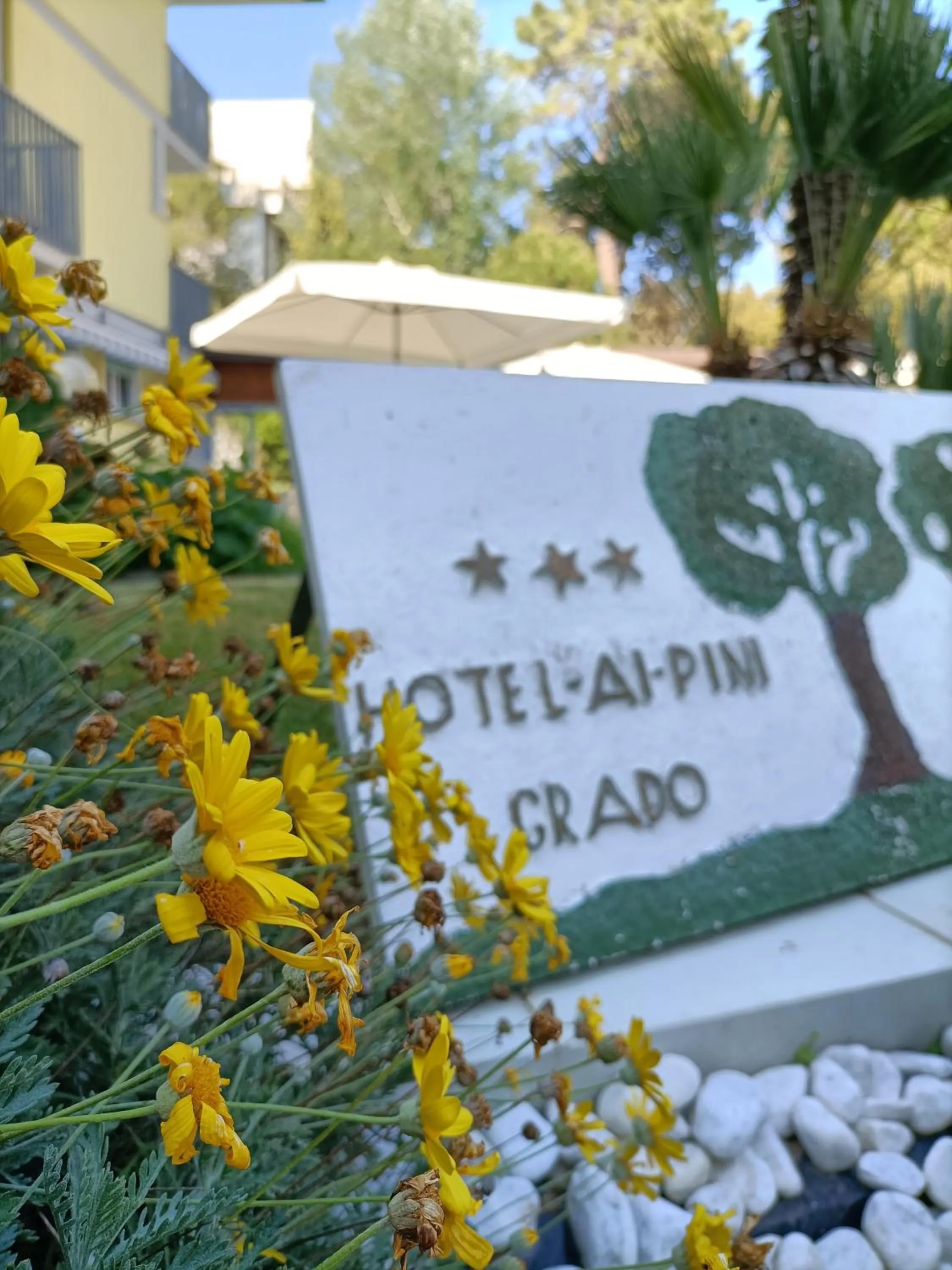 Lobby or reception in Hotel Ai Pini