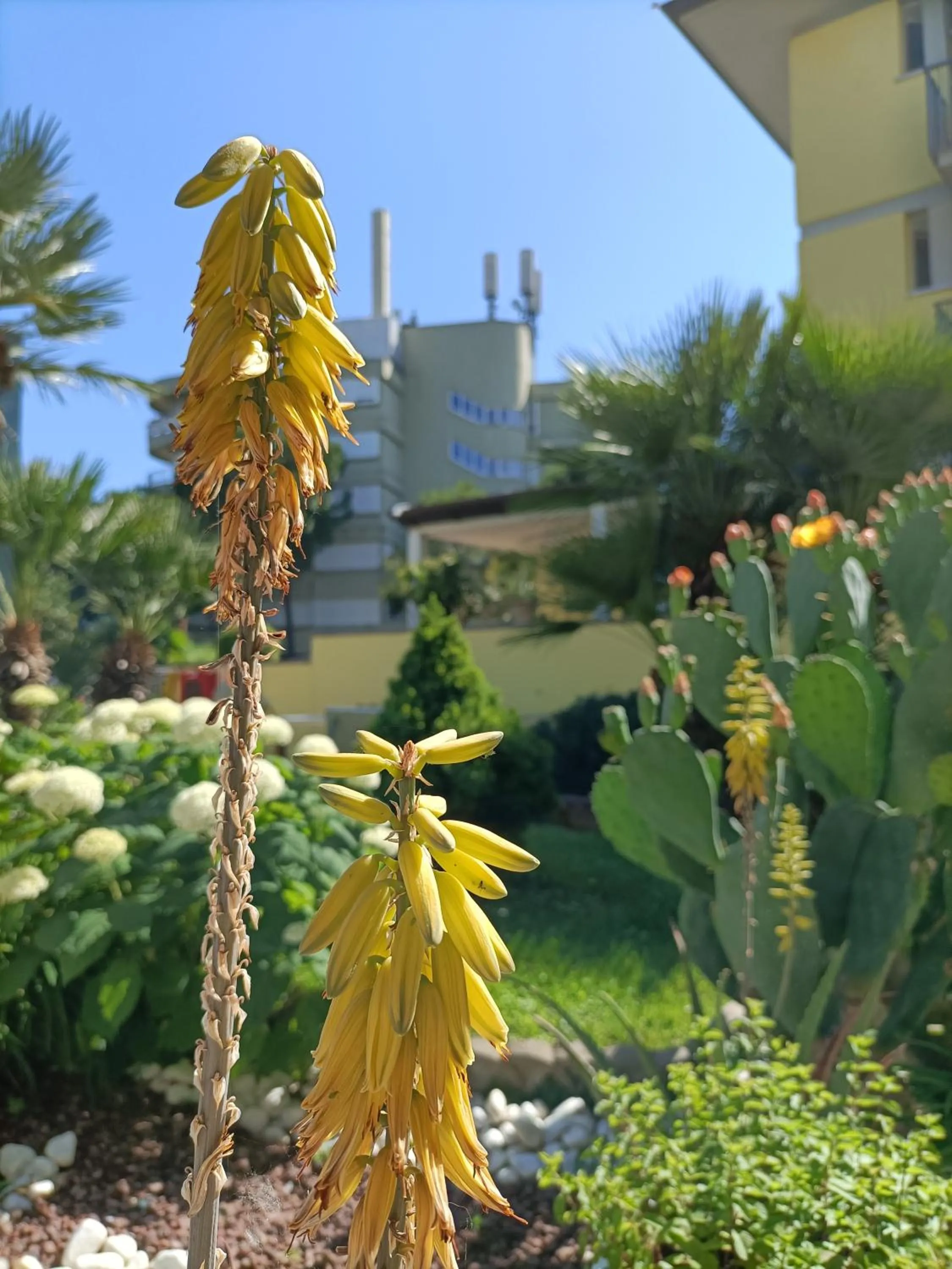 Property building in Hotel Ai Pini