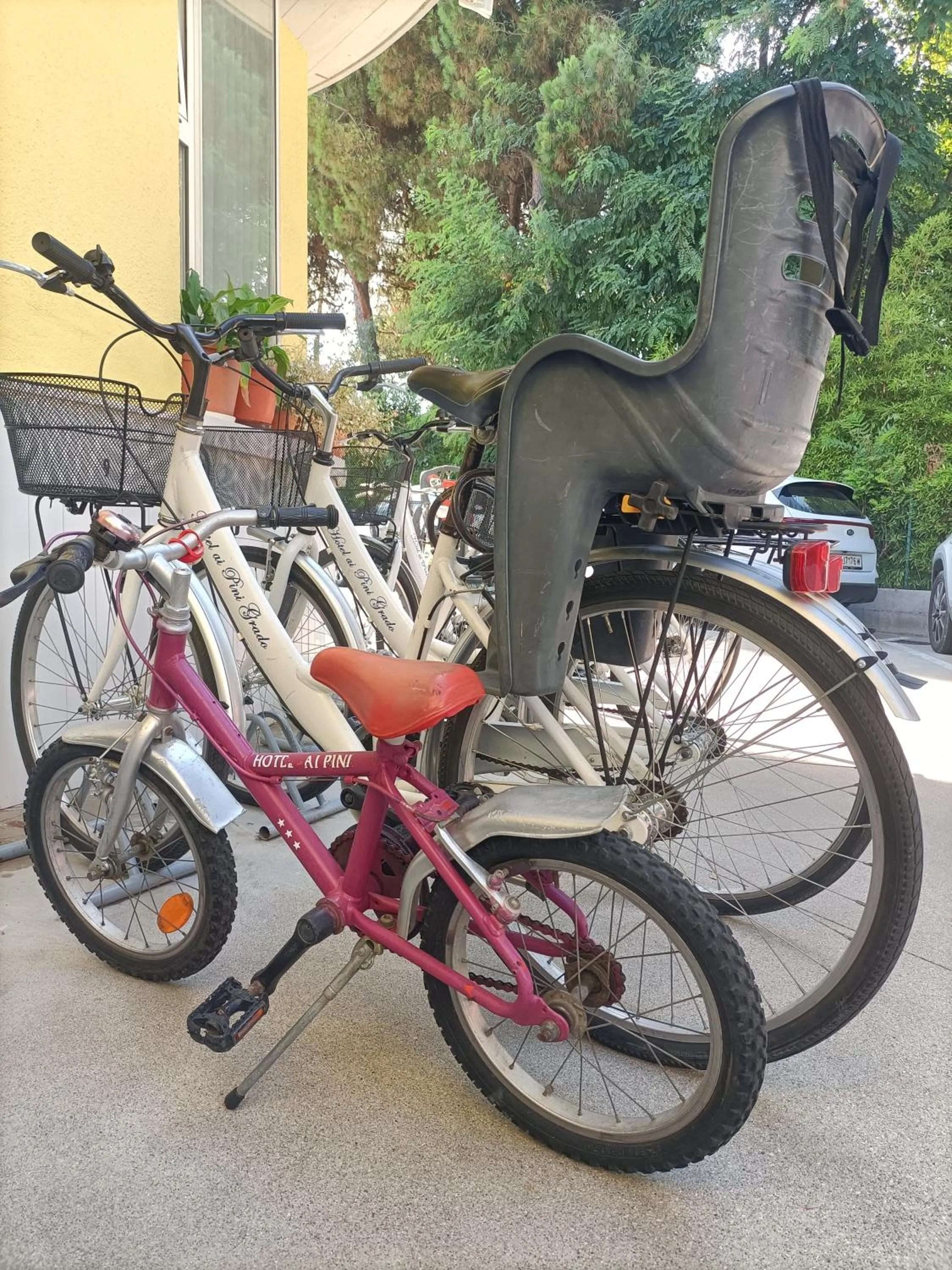 Cycling in Hotel Ai Pini