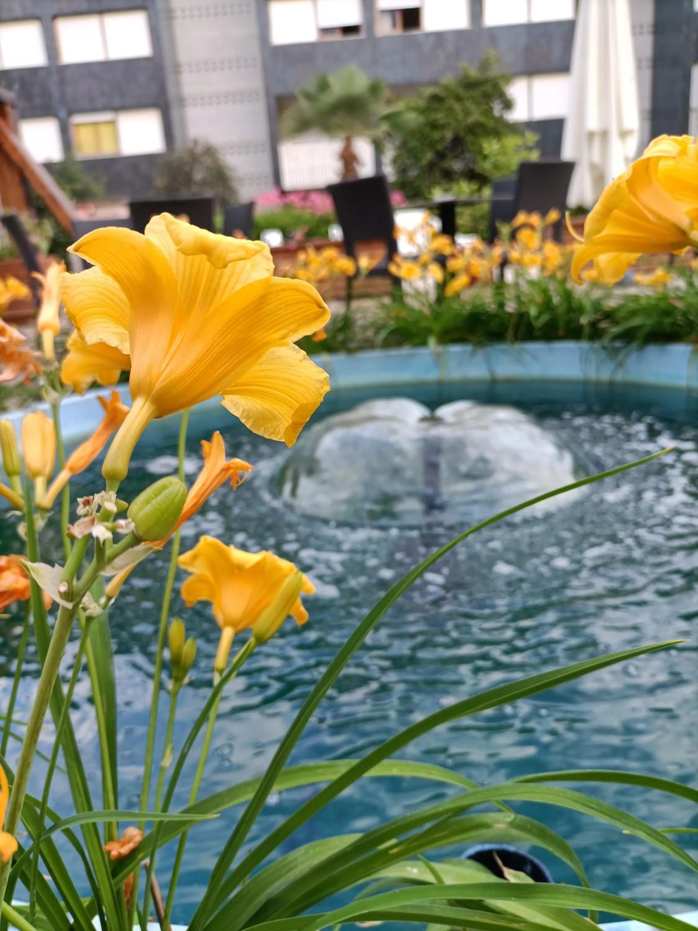 Garden view in Hotel Ai Pini