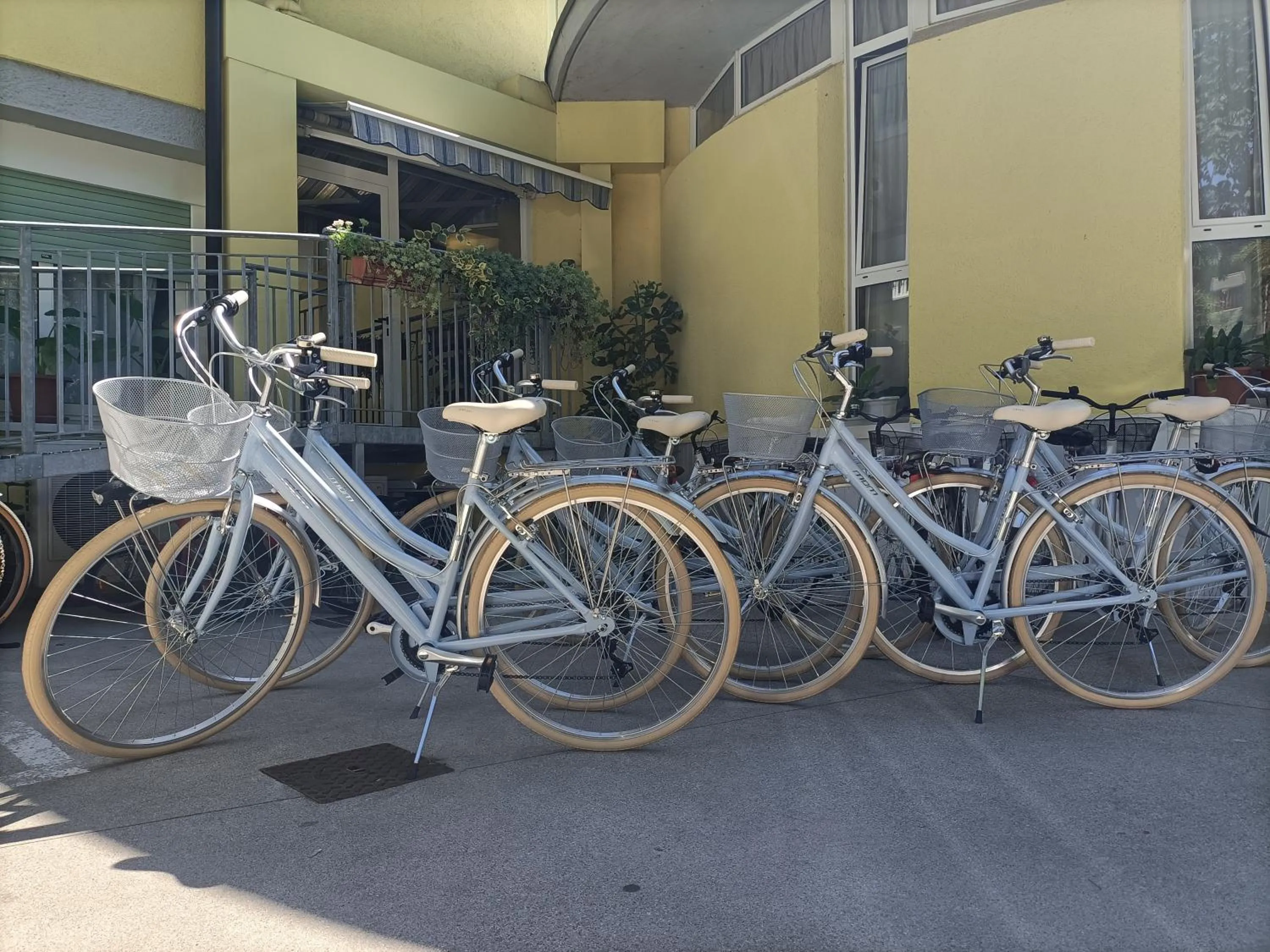 Cycling in Hotel Ai Pini