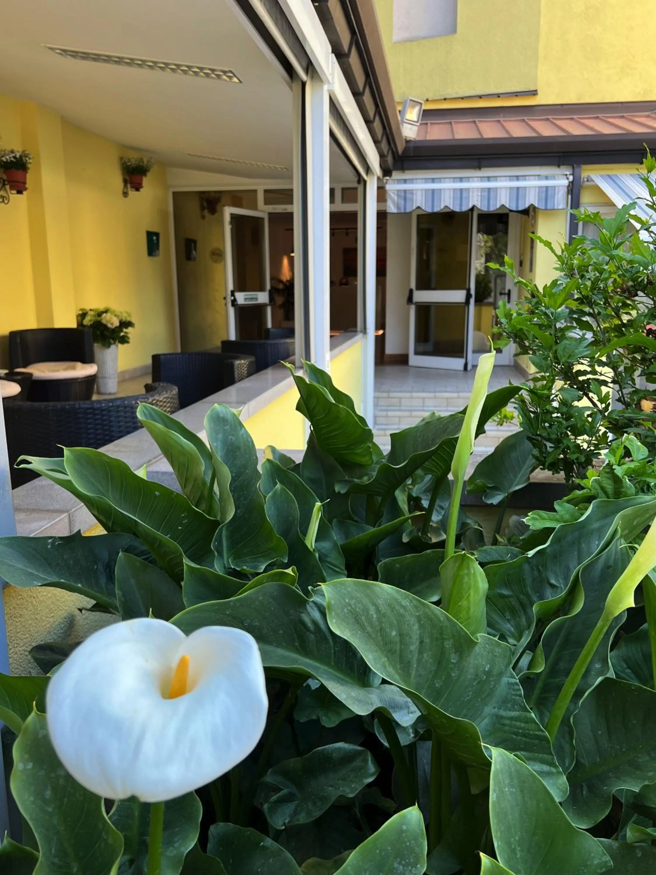 Property building in Hotel Ai Pini