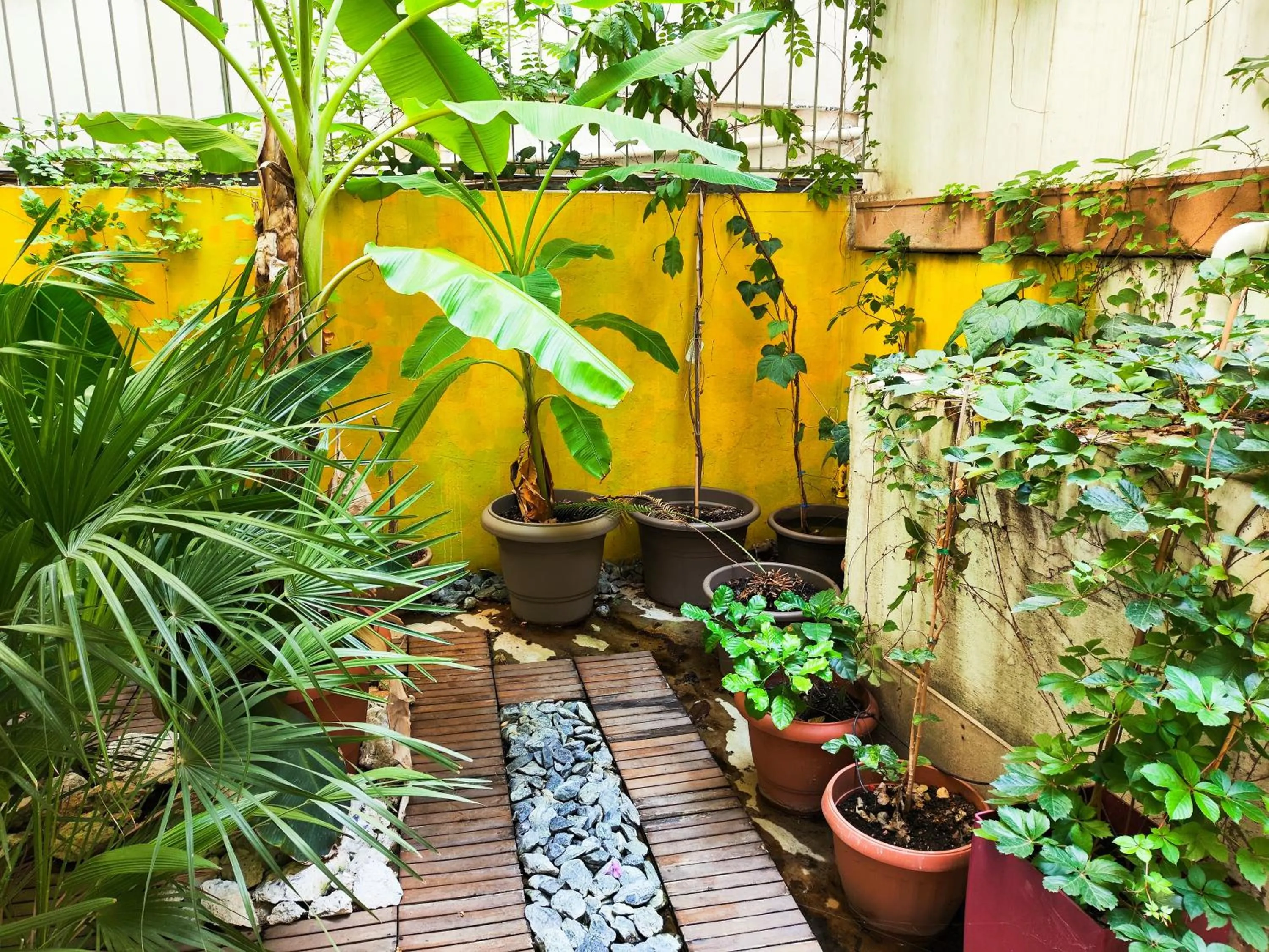 Garden in Ulysses Apartments Acropolis