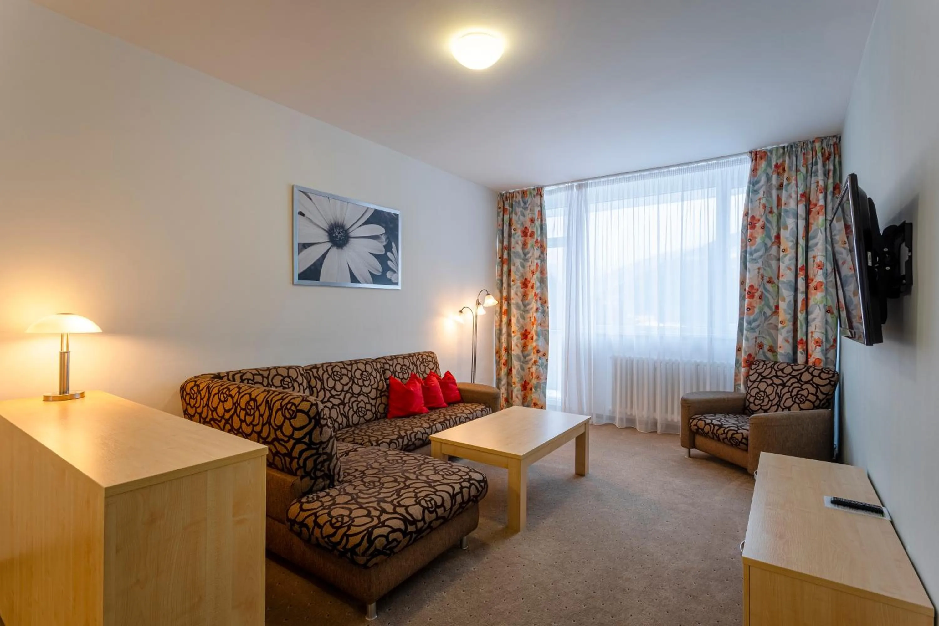 TV and multimedia in Hotel Běhounek