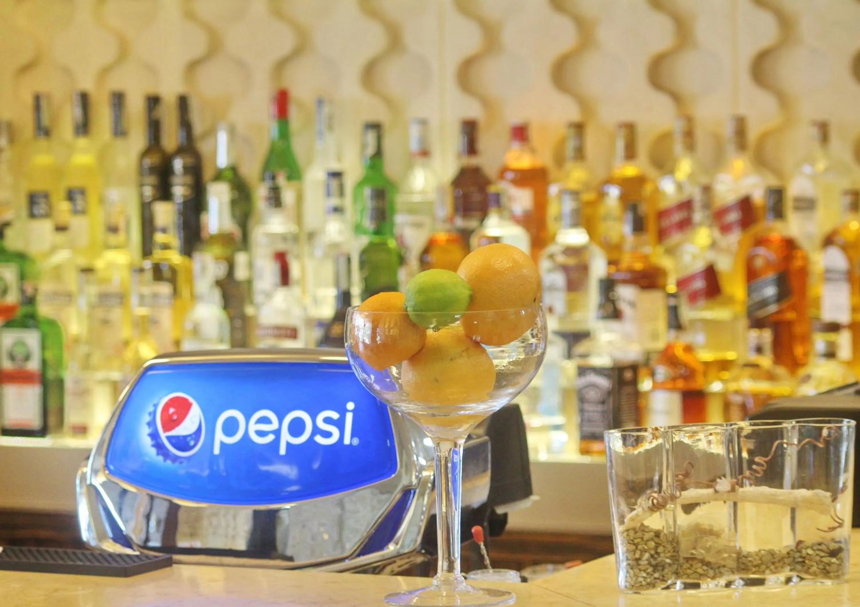 Lounge or bar in Barcelo Royal Beach - All Inclusive