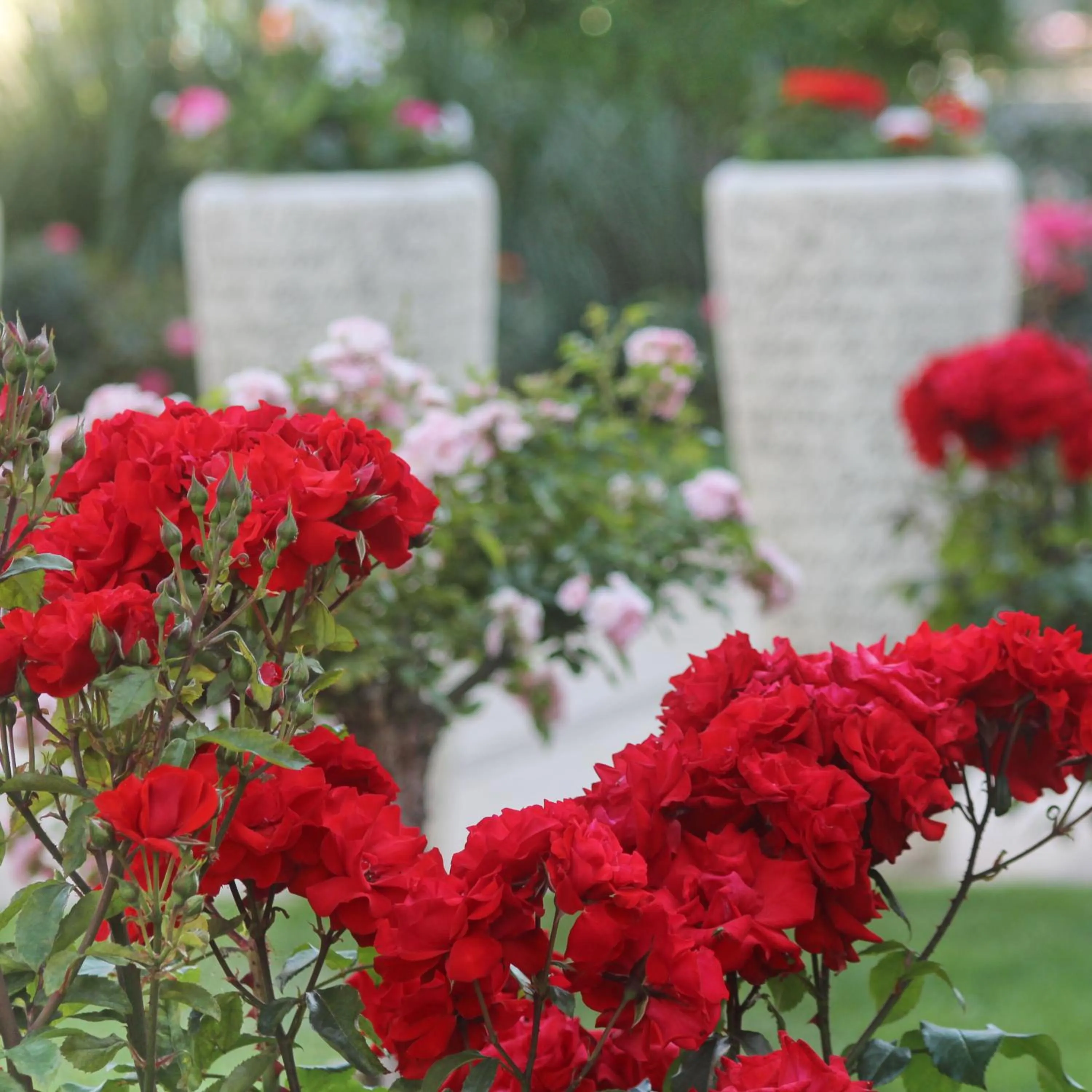 Day in Barcelo Royal Beach - All Inclusive