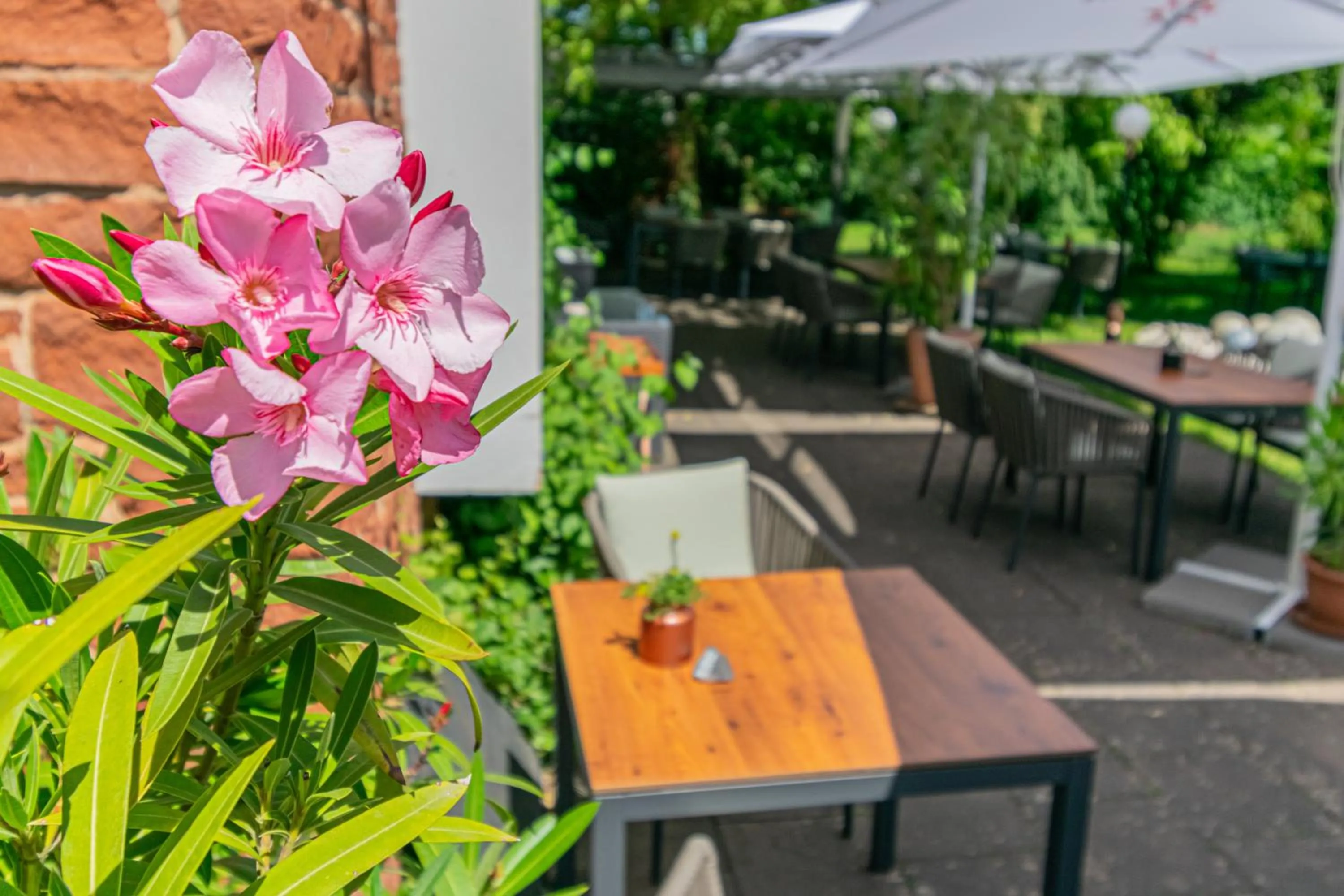 Patio in Weinhotel Ayler Kupp