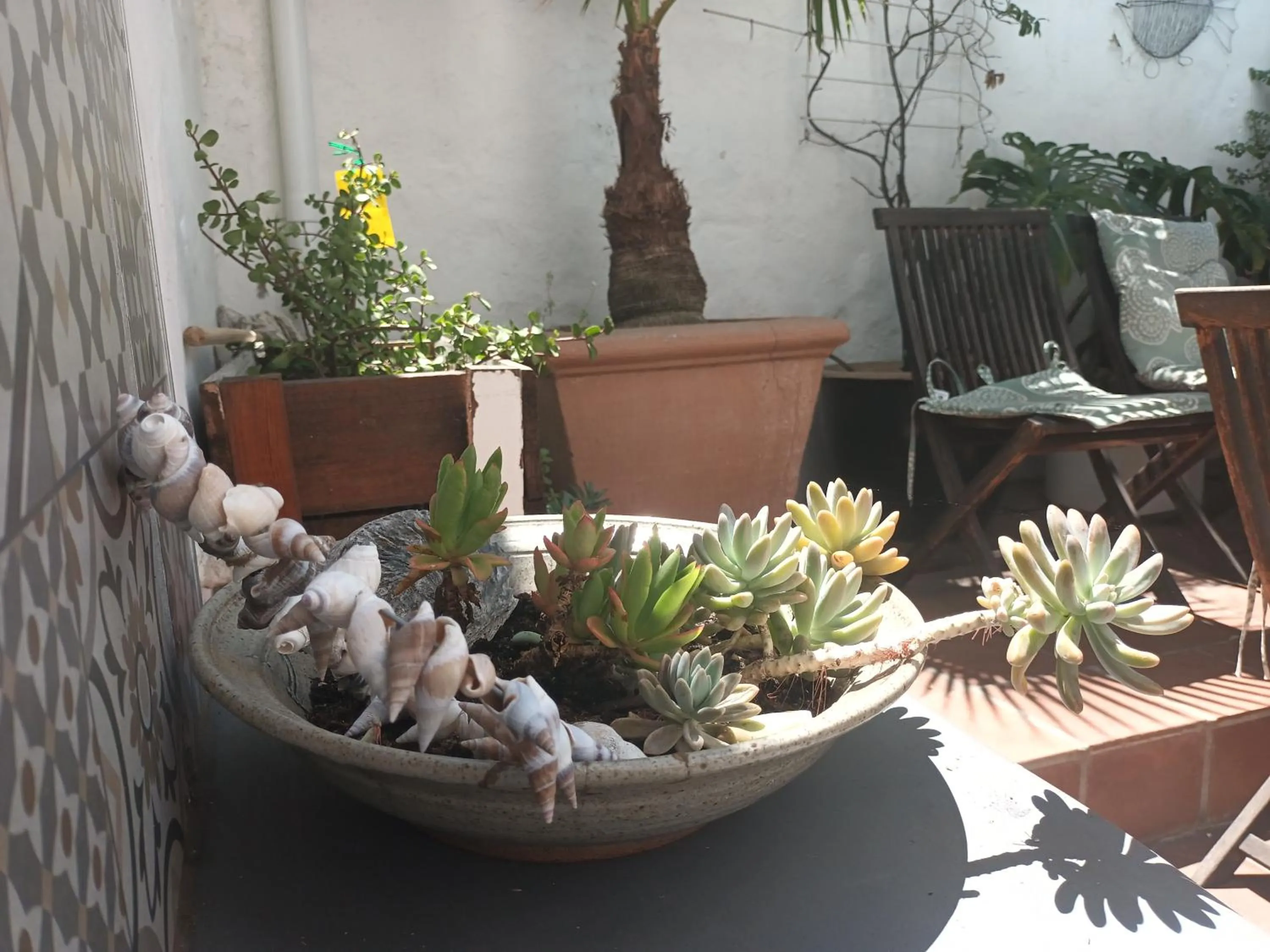 Garden in House on the Hill