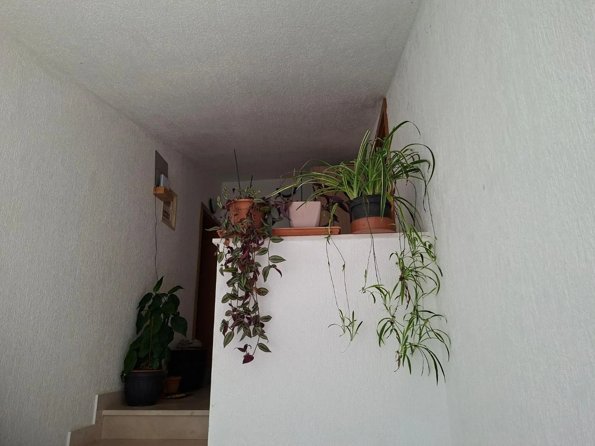 Area and facilities in Apartments Mama