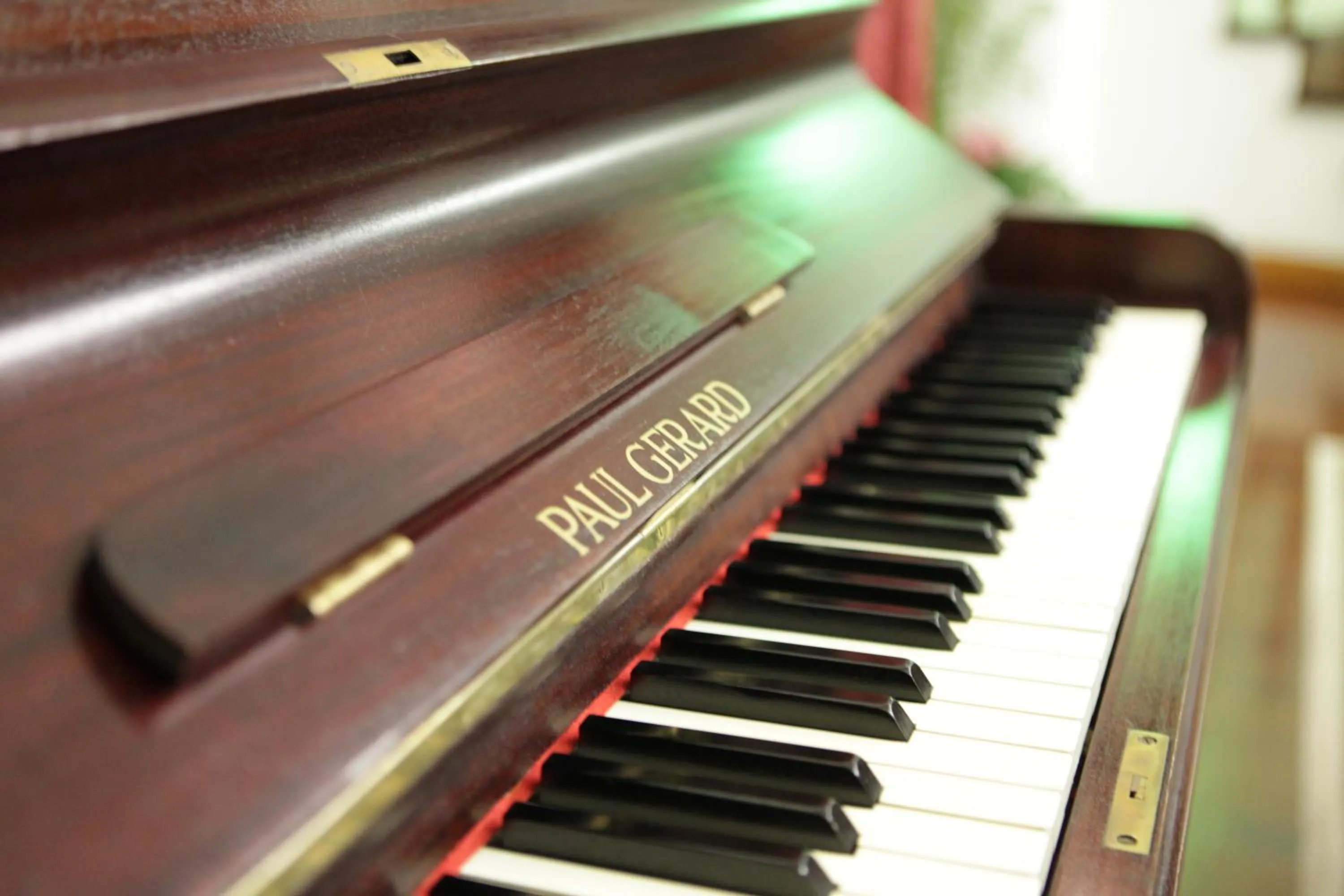 Communal lounge/ TV room in Hotel Dona Sofia