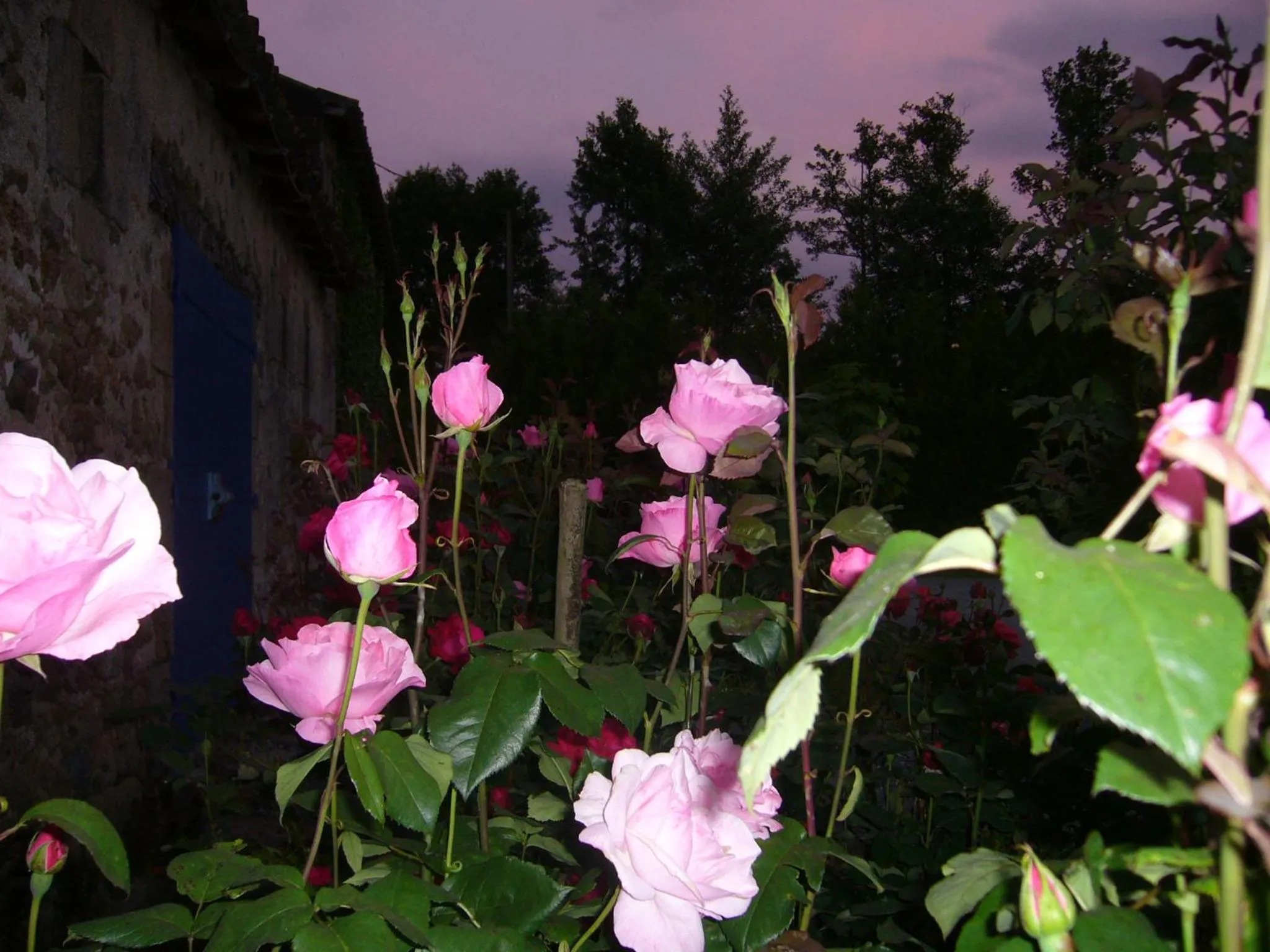 Property building in La petite Vallee