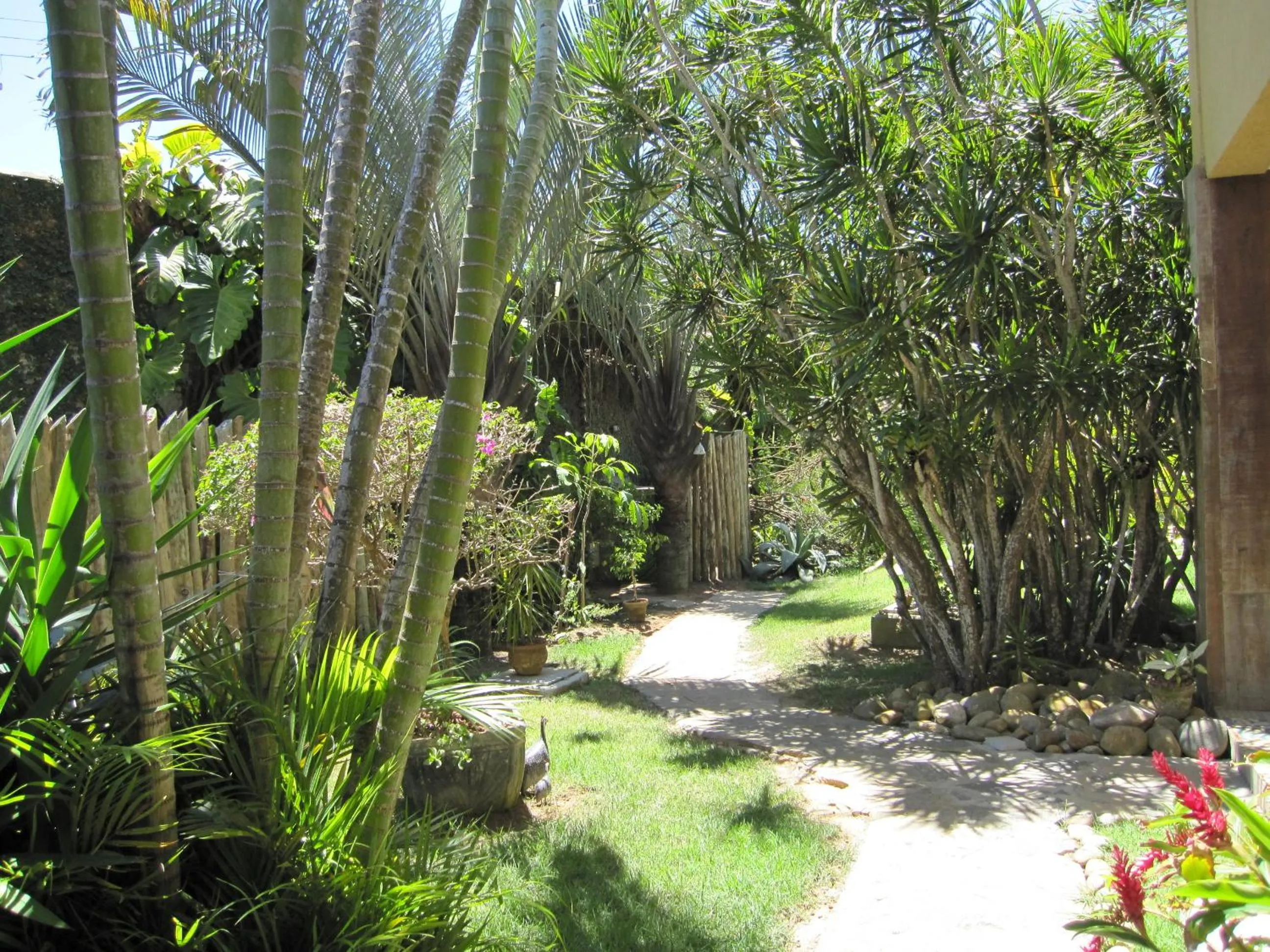 Garden in Pousada da Cyssa