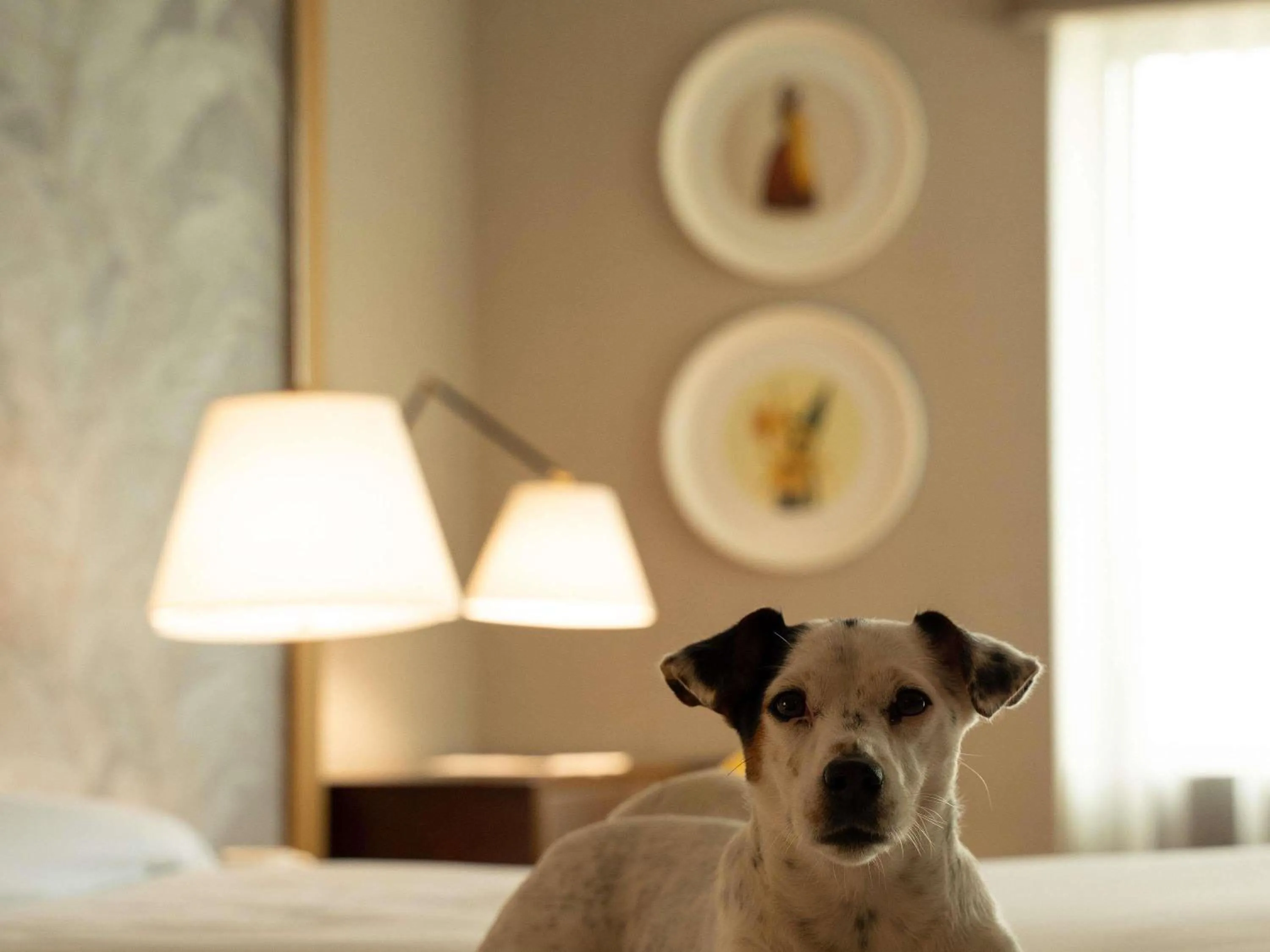 Other in Manto Hotel Lima - MGallery Collection