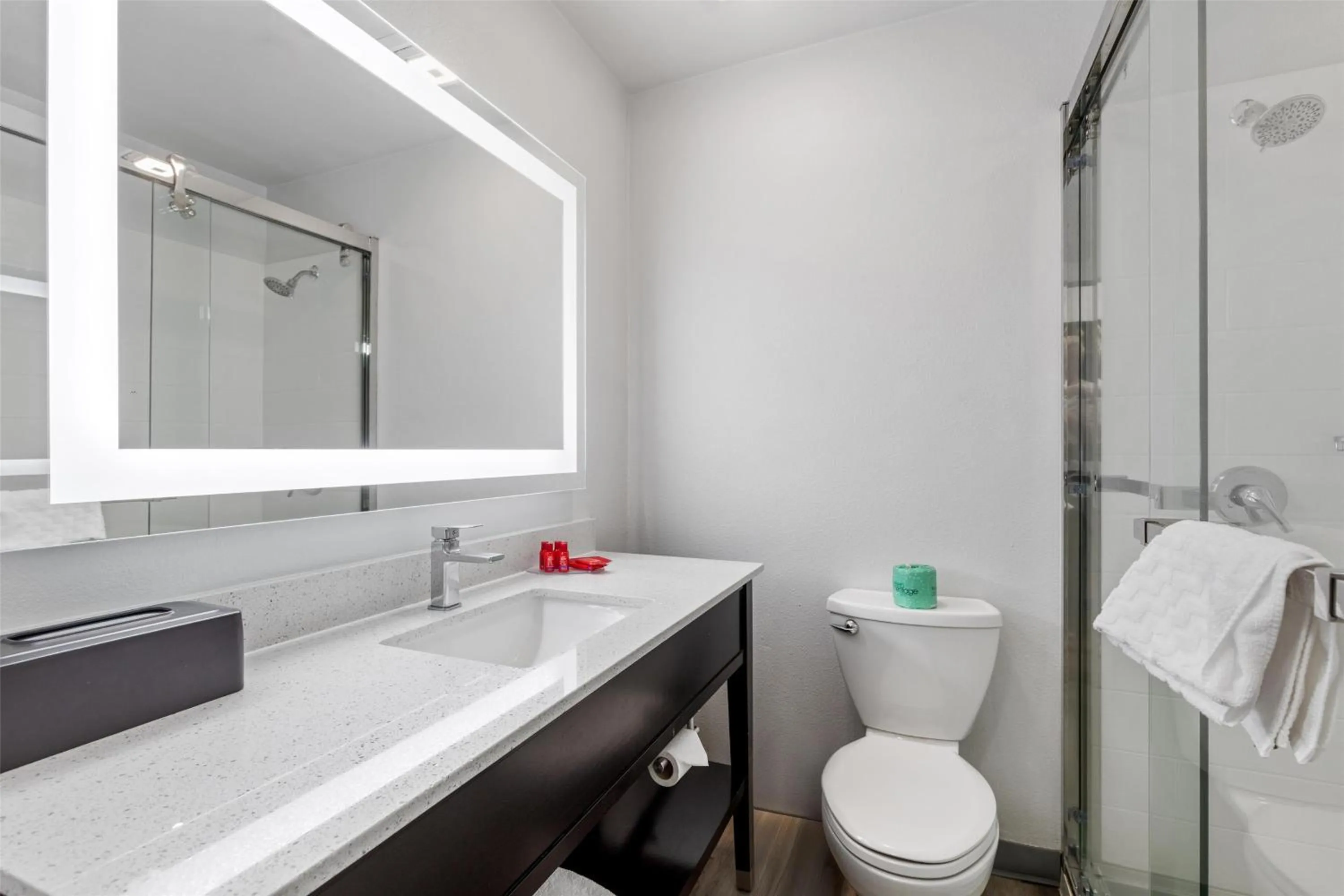 Bathroom in SureStay Plus Hotel by Best Western Mammoth Lakes