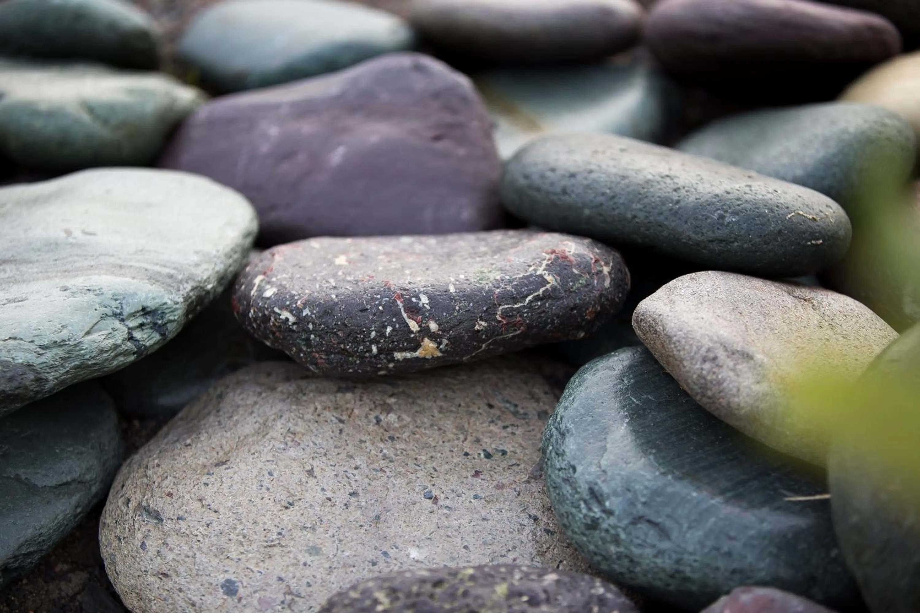 Beach in The Killick Inn & Suites