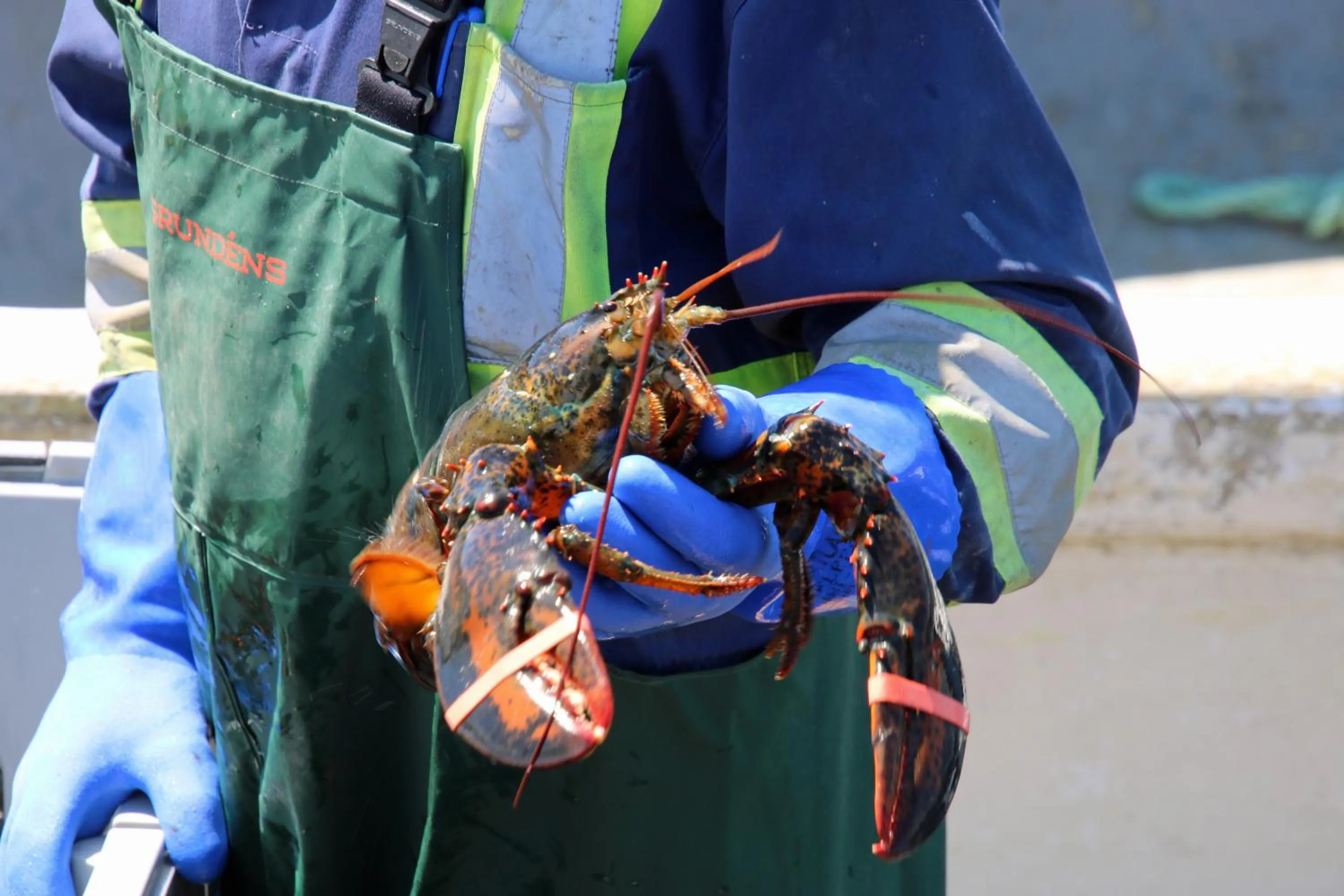 Neighbourhood in The Killick Inn & Suites