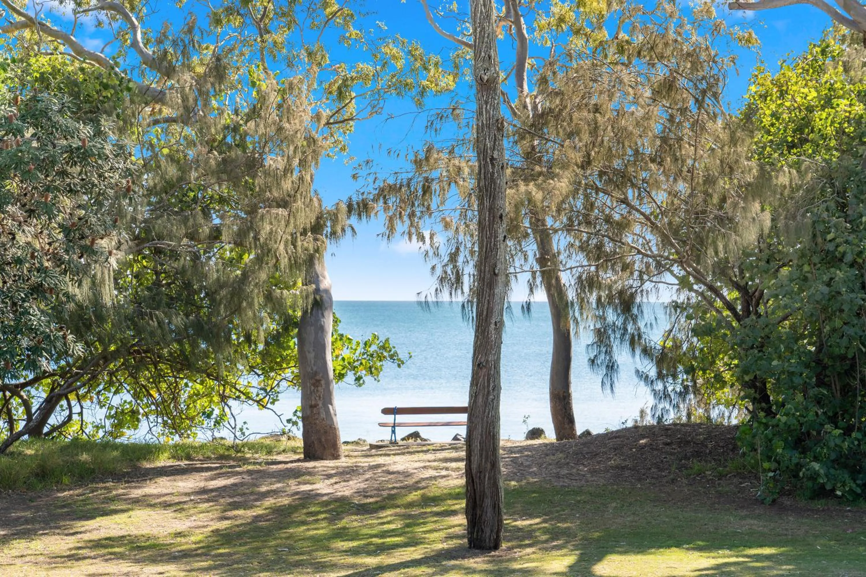 Spring in Shelly Bay Resort