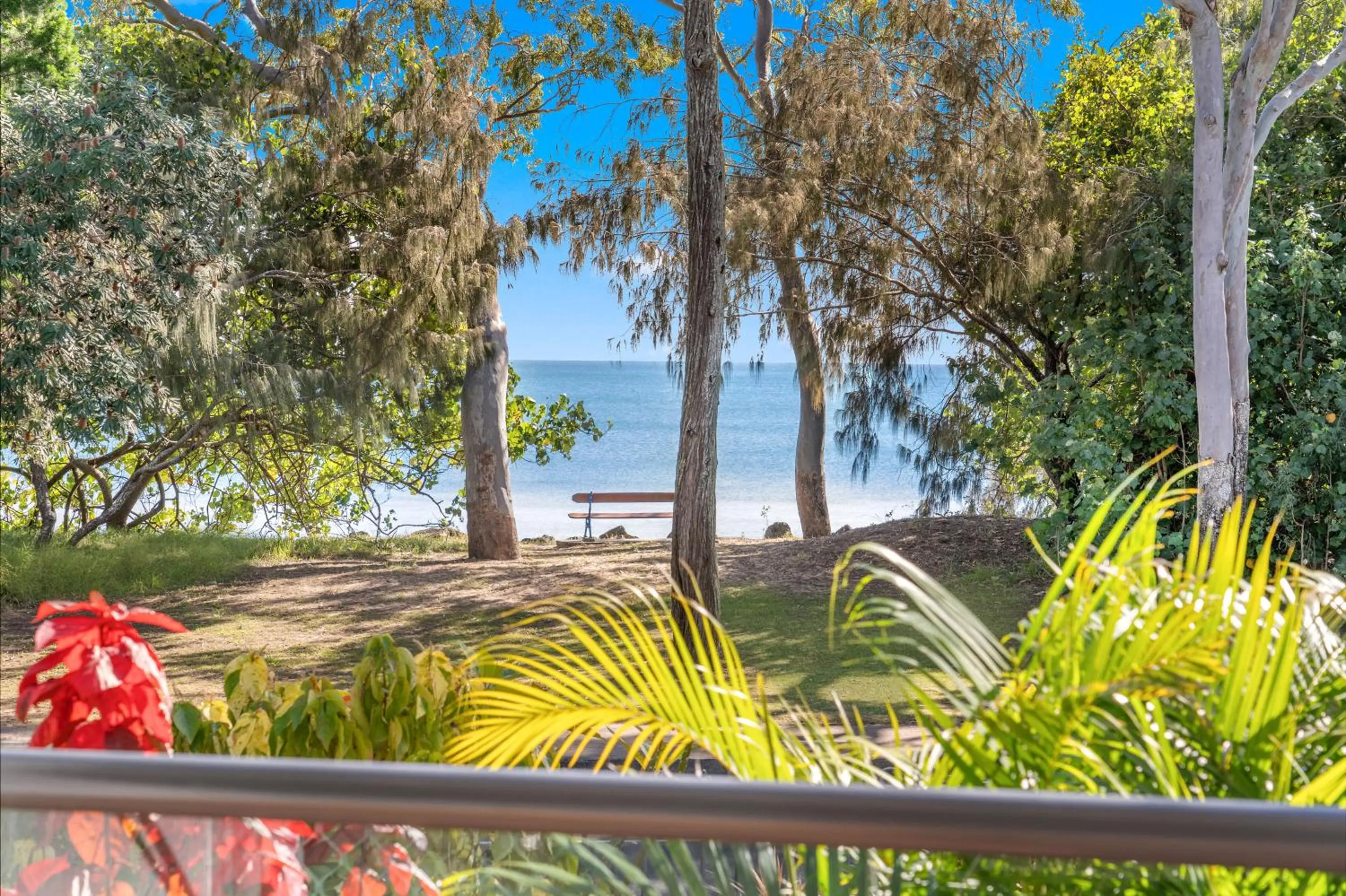 Garden in Shelly Bay Resort