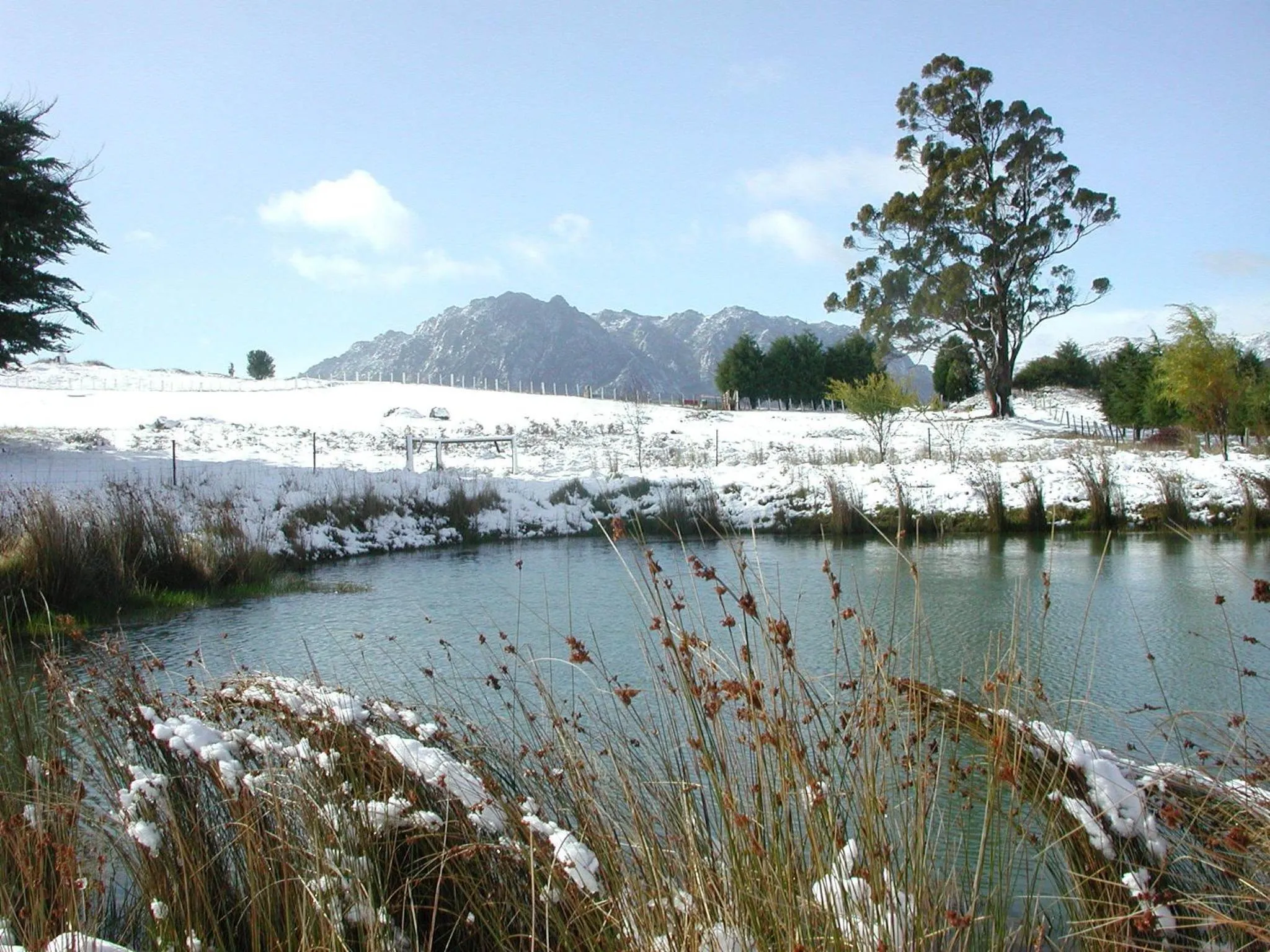 Garden in AAA Granary Accommodation