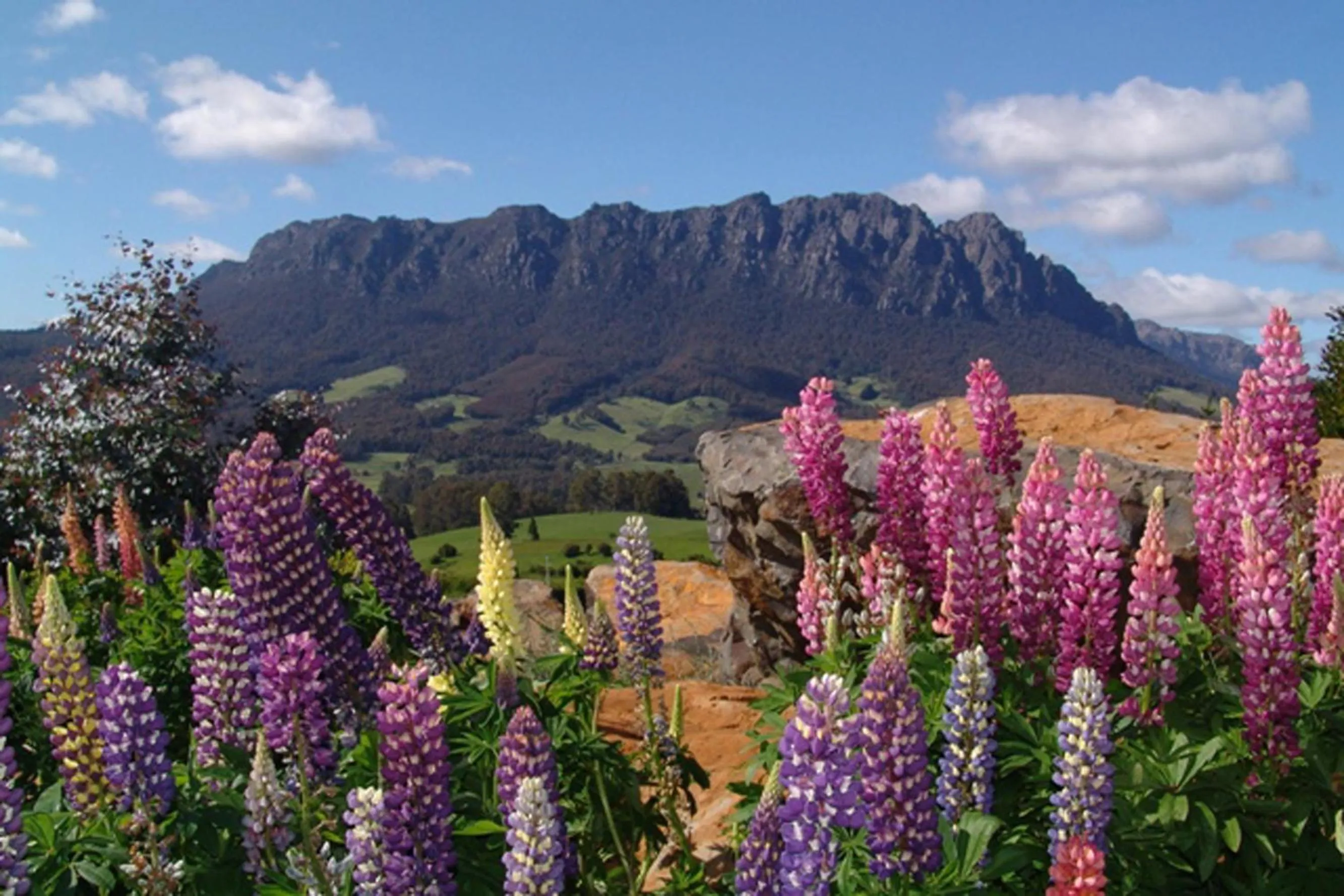 Mountain view in AAA Granary Accommodation
