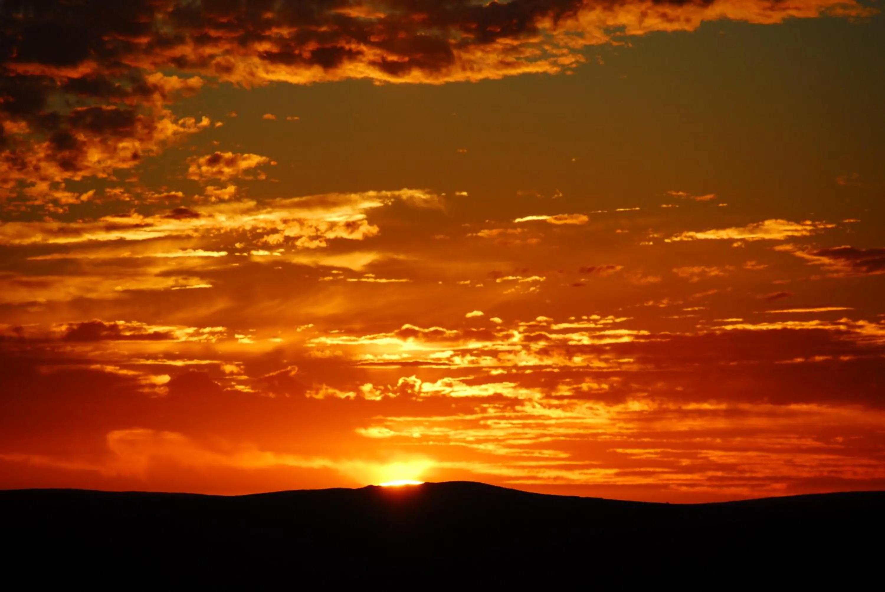Natural landscape in Naries Namakwa Retreat