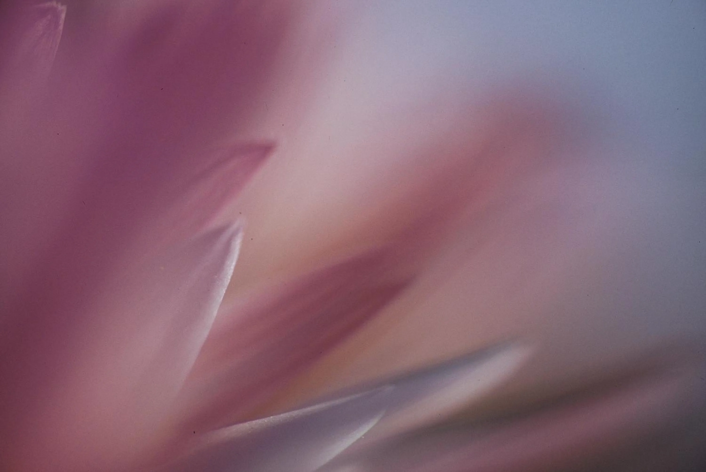 Other in Naries Namakwa Retreat