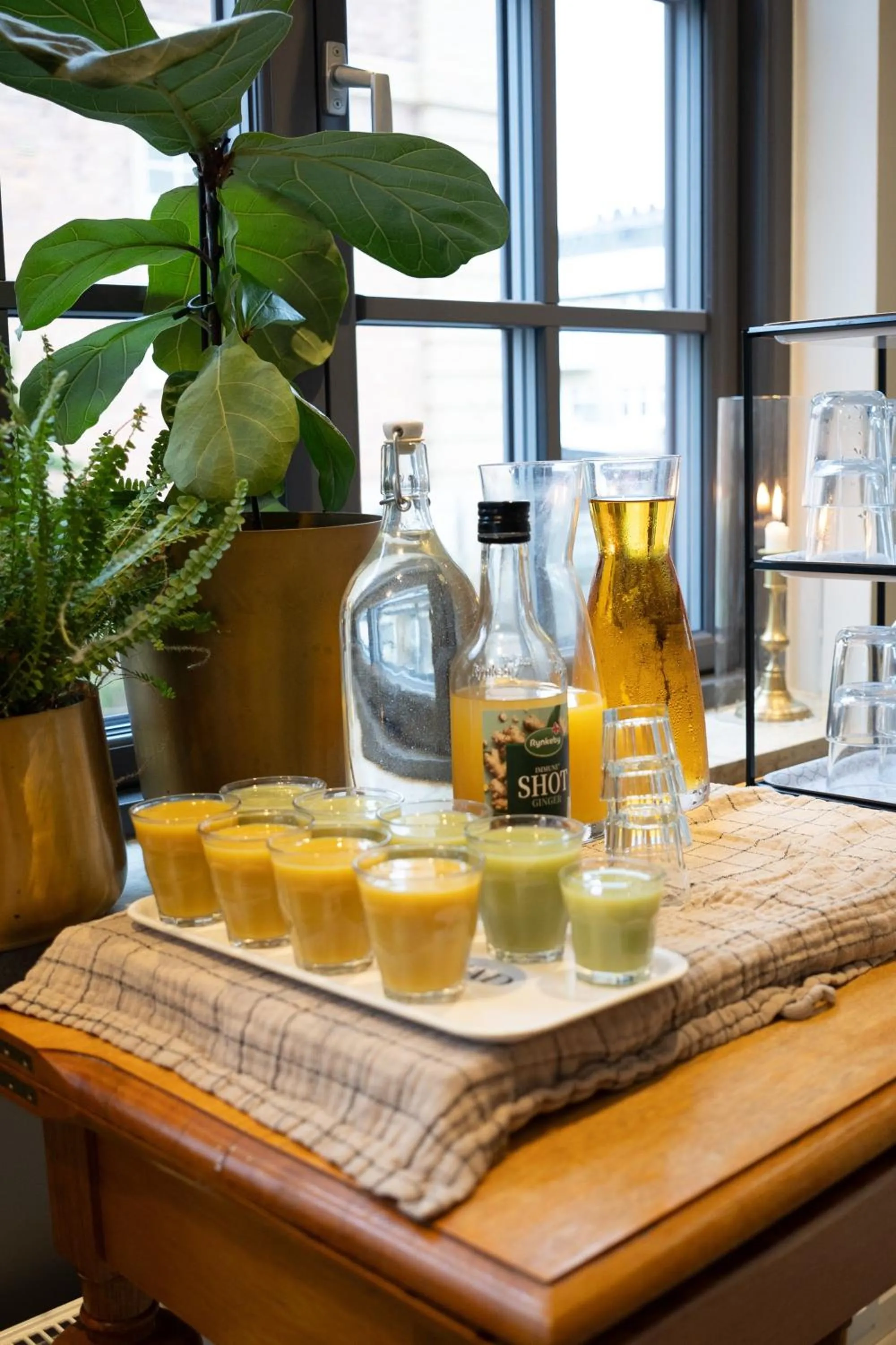 Area and facilities in Hotell Esplanad