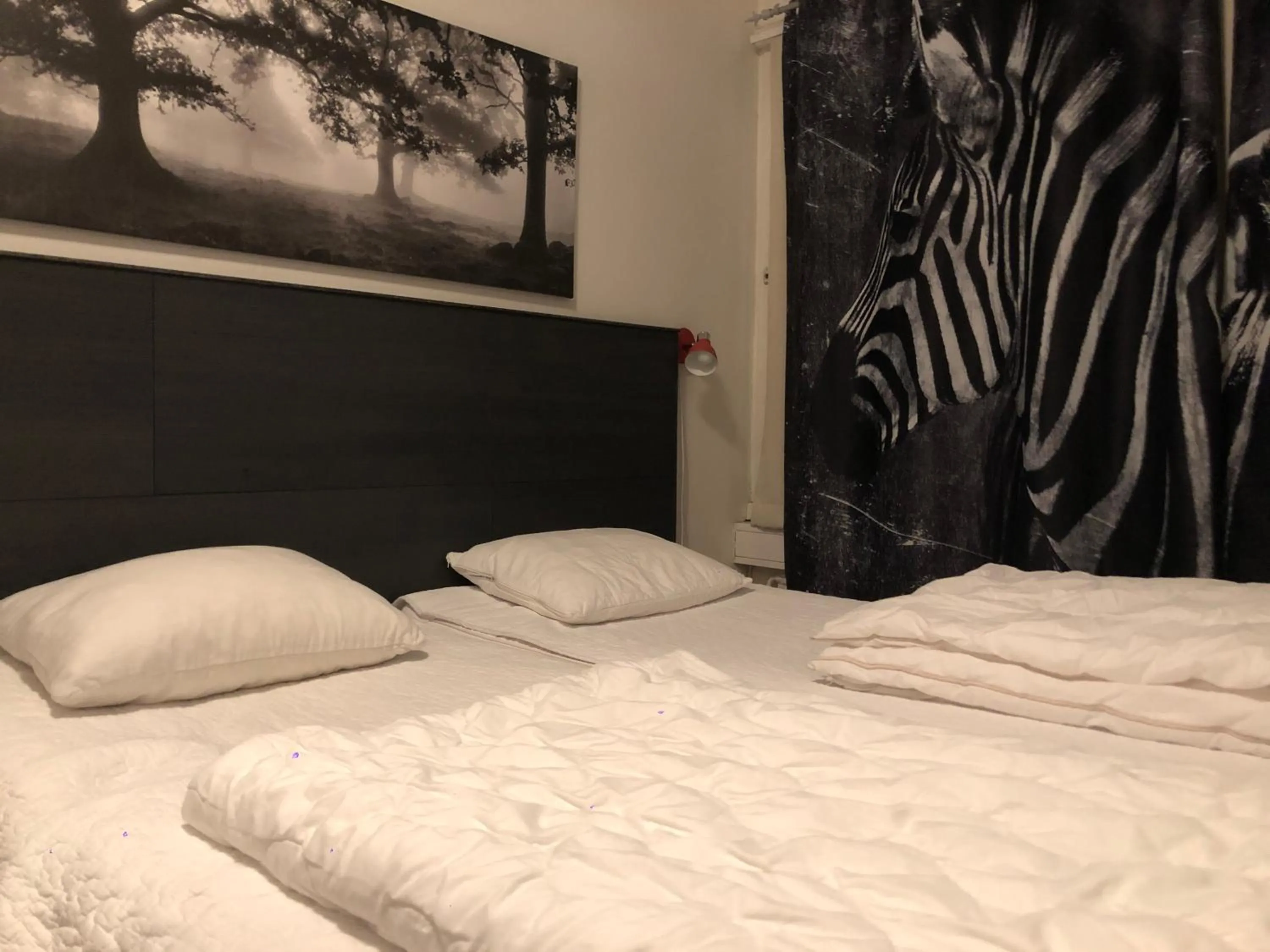 Bed in Uppsala City Hostel