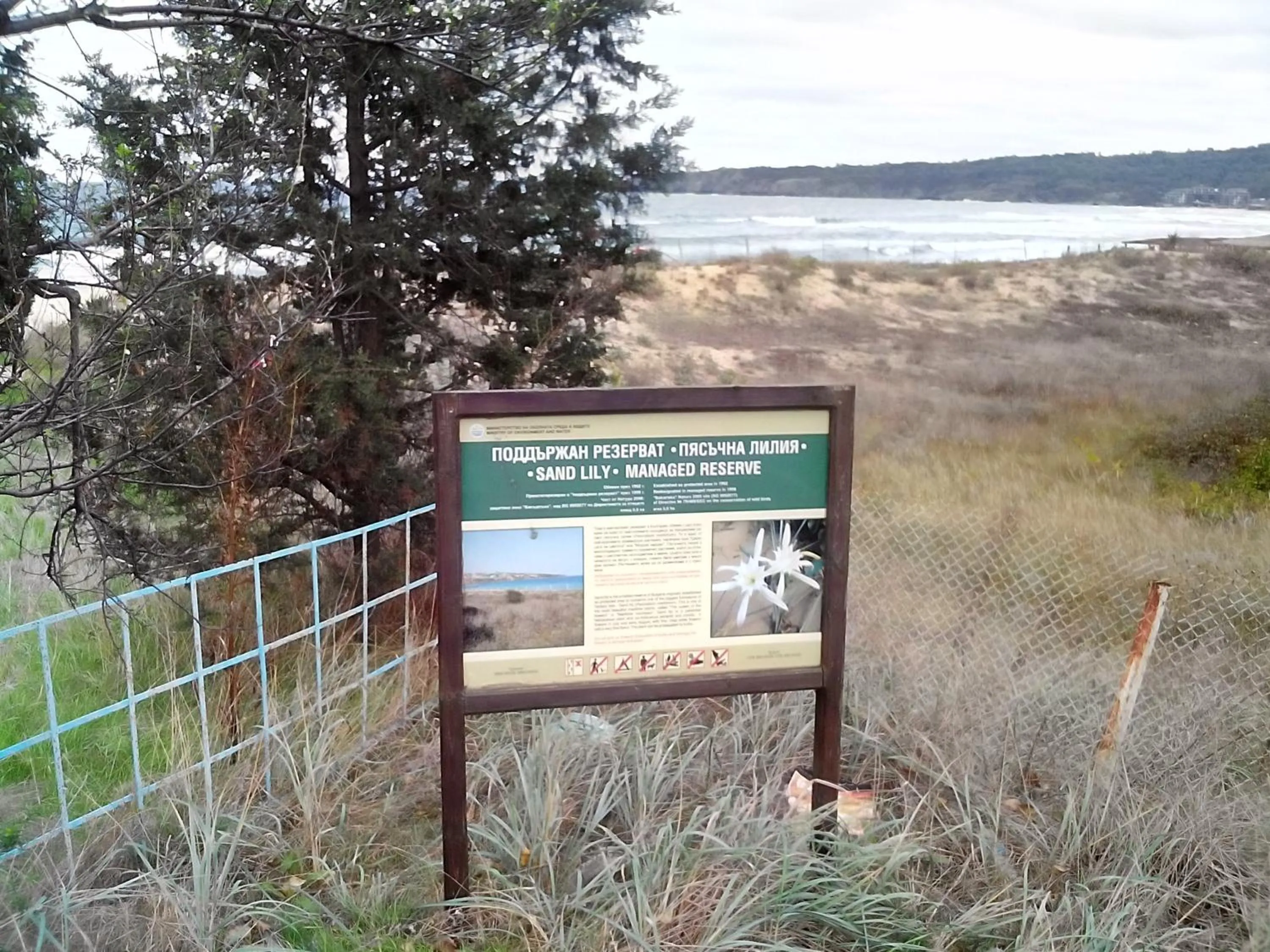 Nearby landmark in Serena Residence Aparthotel