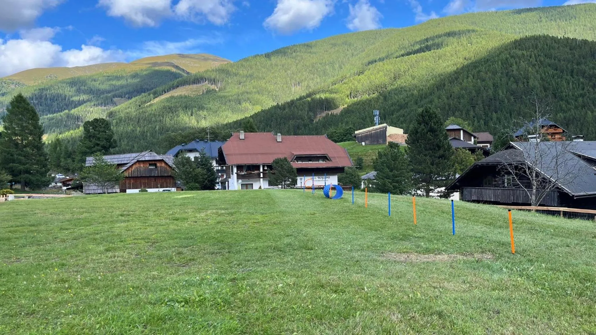 Activities in Schi- und Wanderhotel Berghof